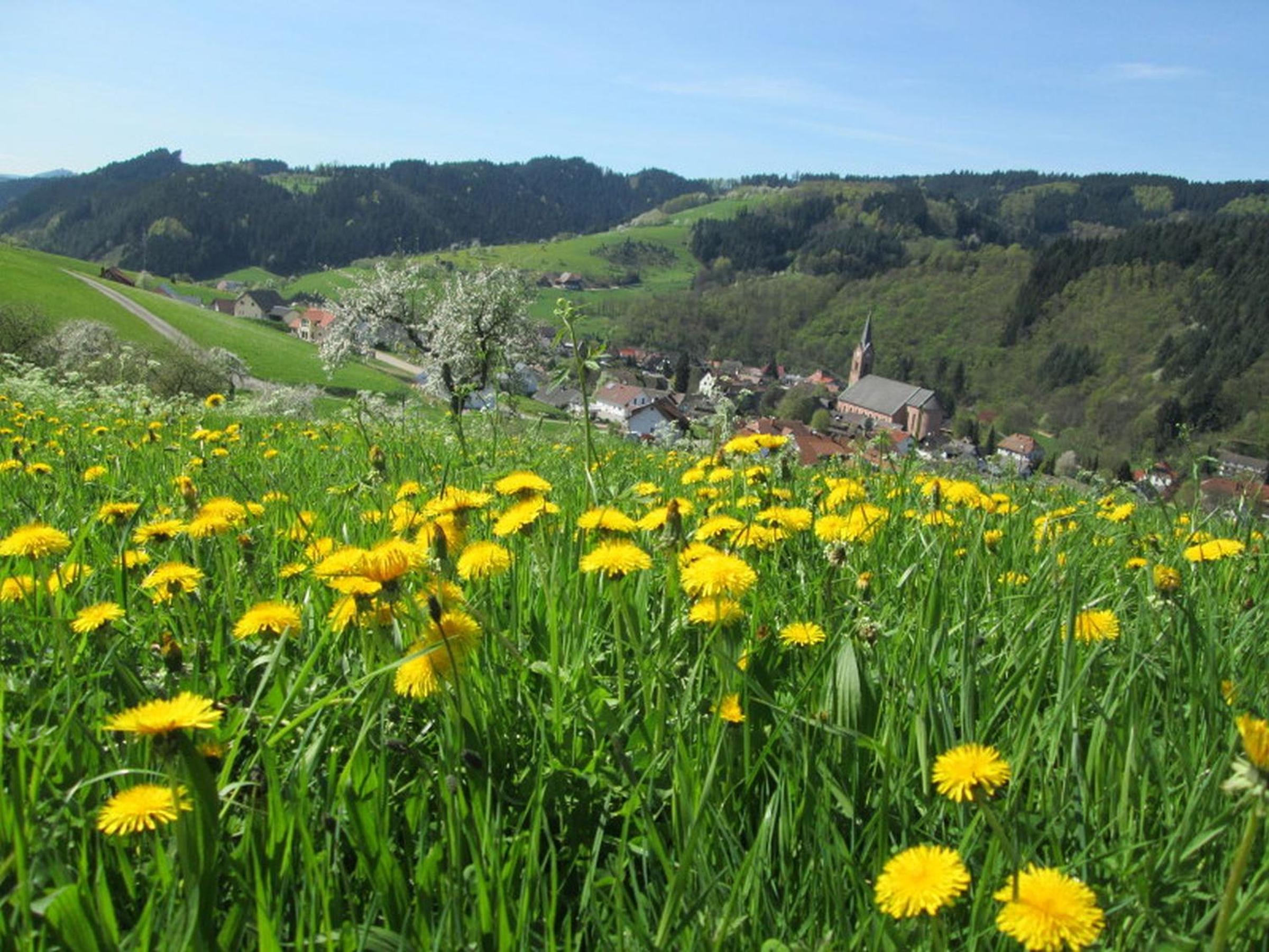 Stinneshof