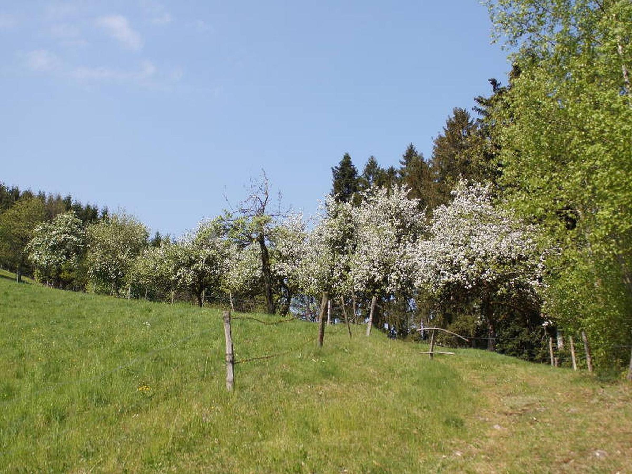 Stinneshof