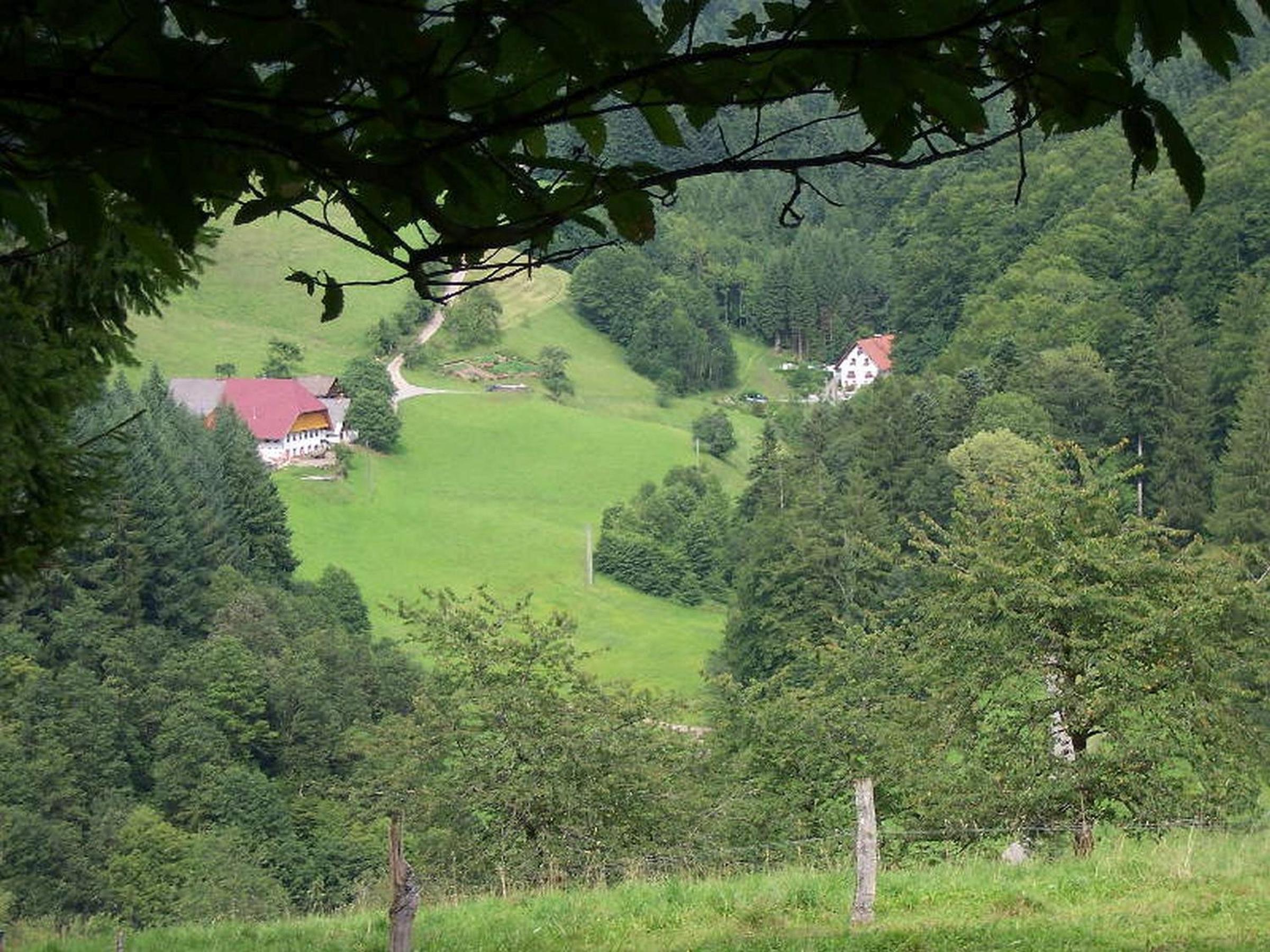 Stinneshof