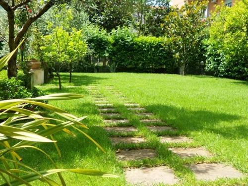 Villa Scimmia photo 4