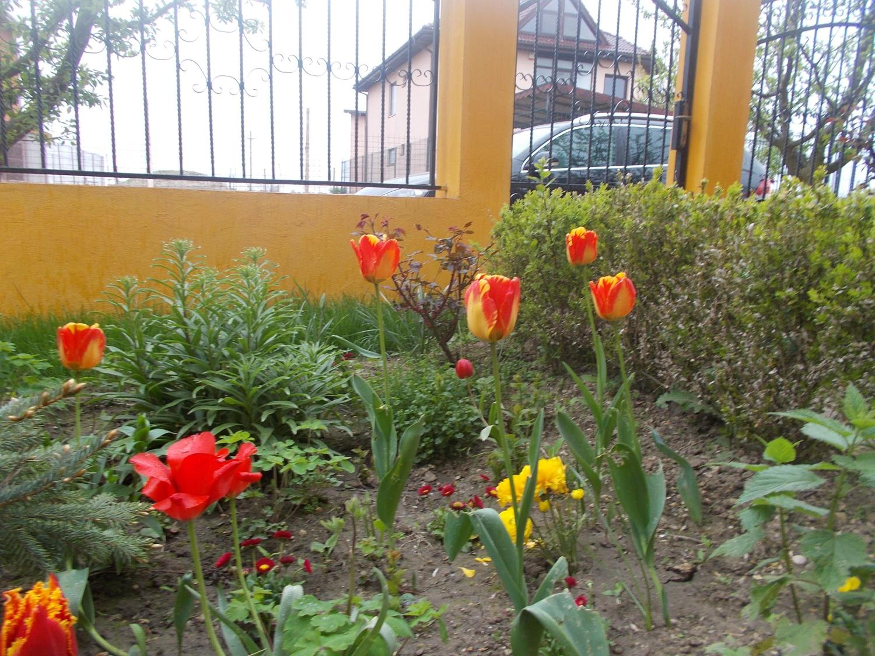 Photo 11