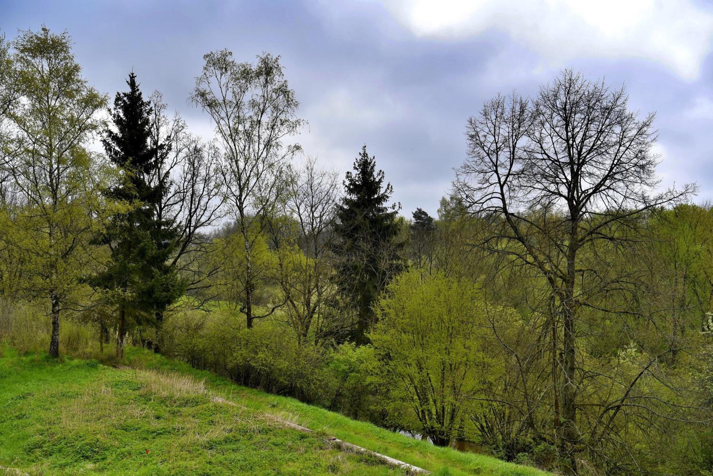 Holiday home Turovec