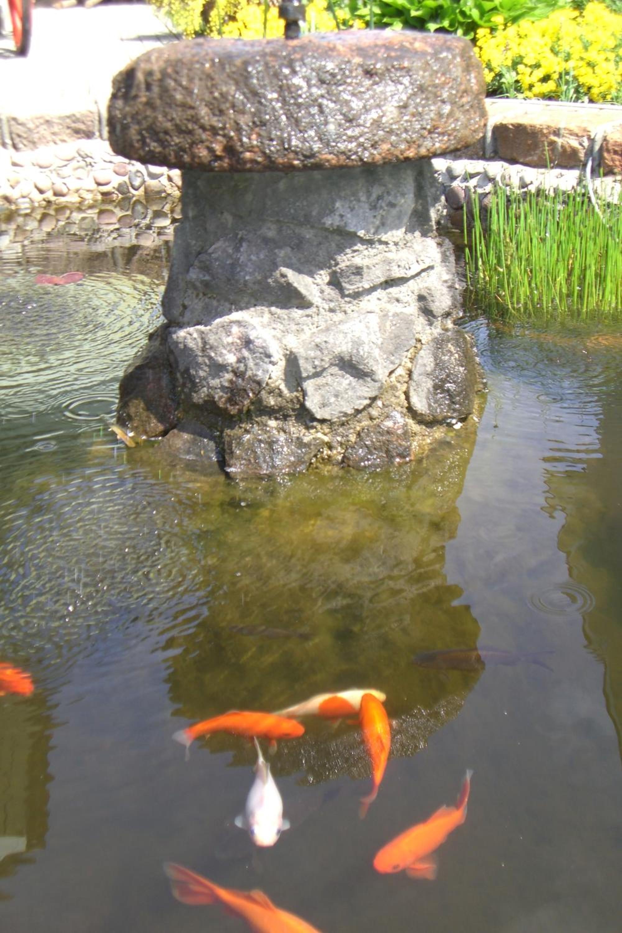 Vila Florena Garden