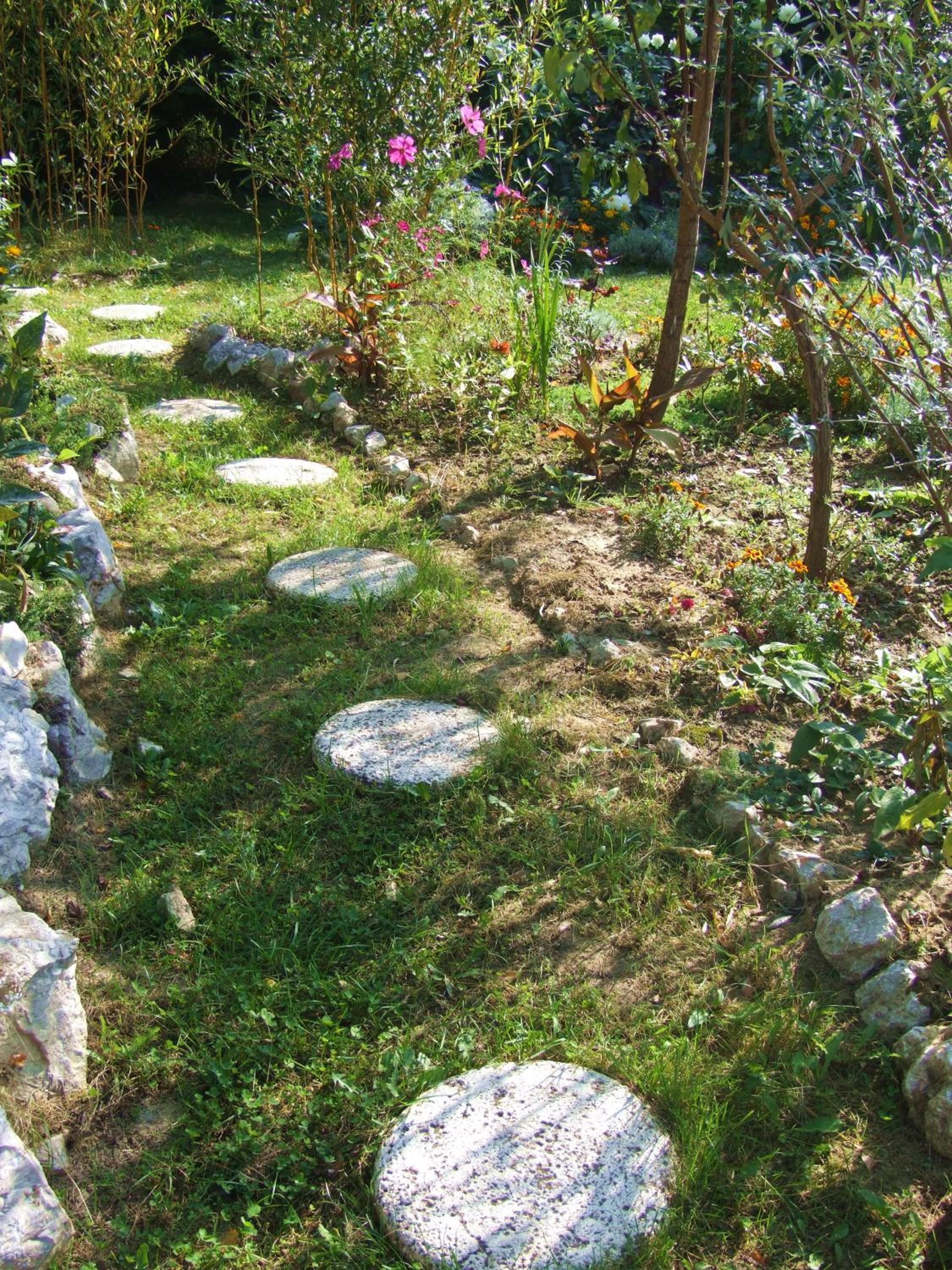 Photo 26