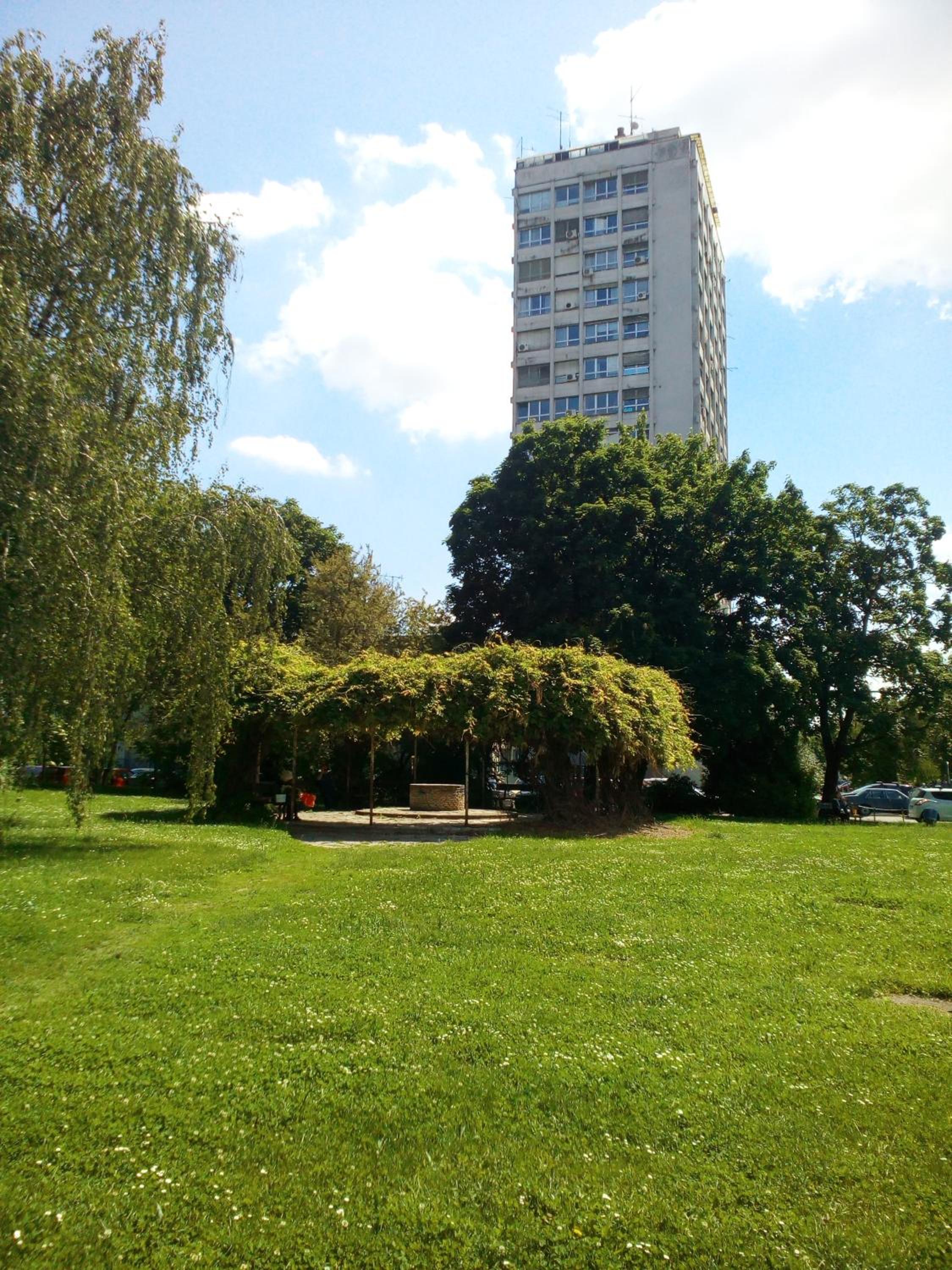 Photo 10