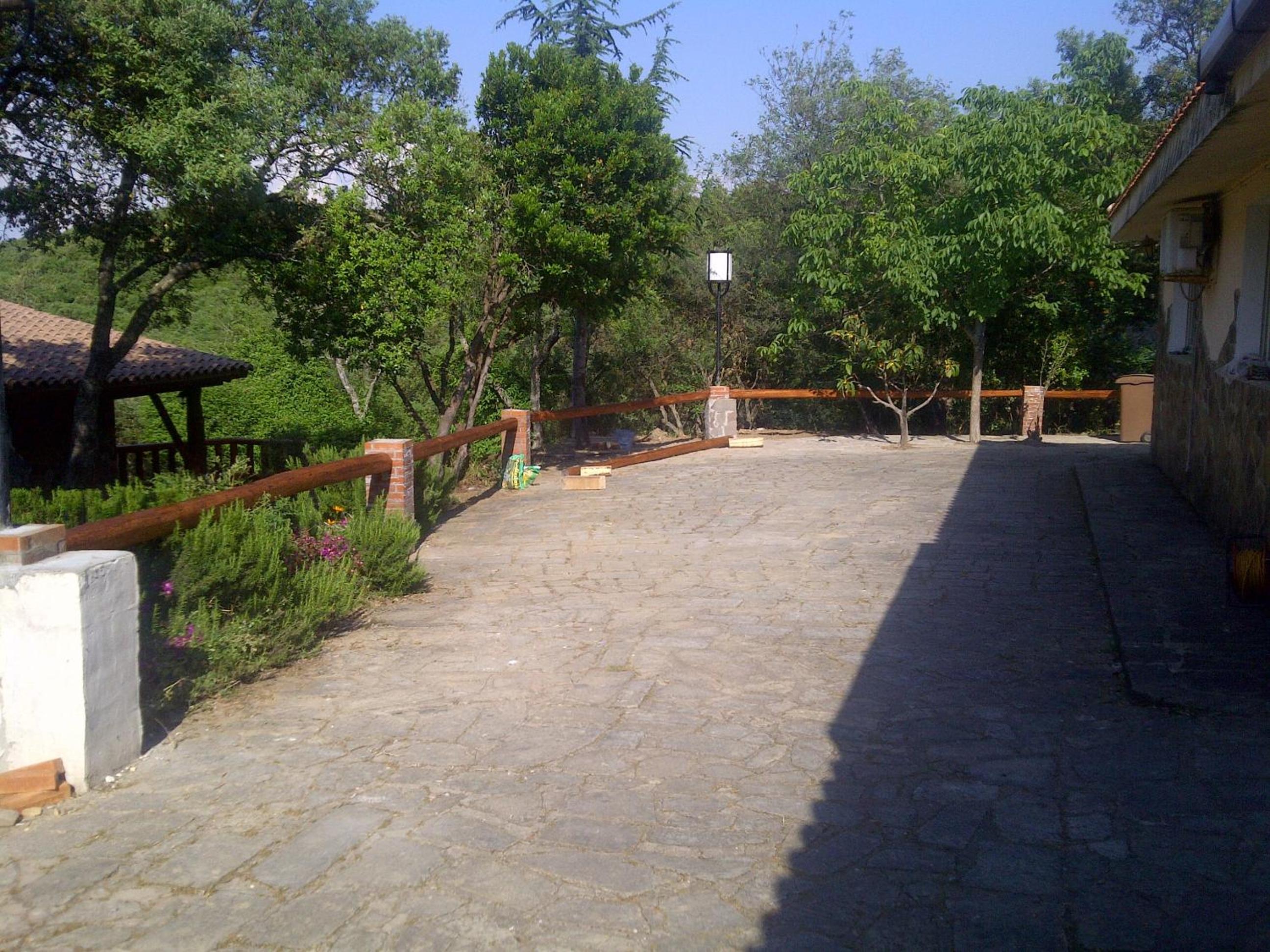 Photo 46