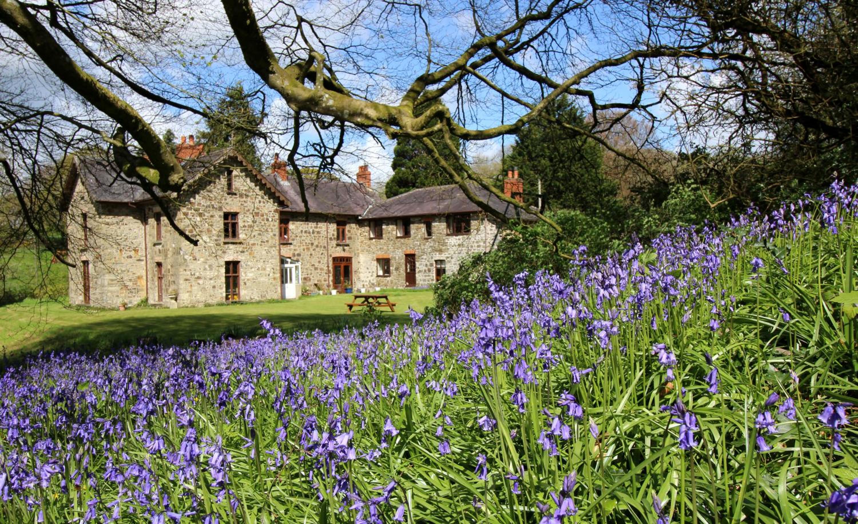 David's Organic Farm Wales view 3