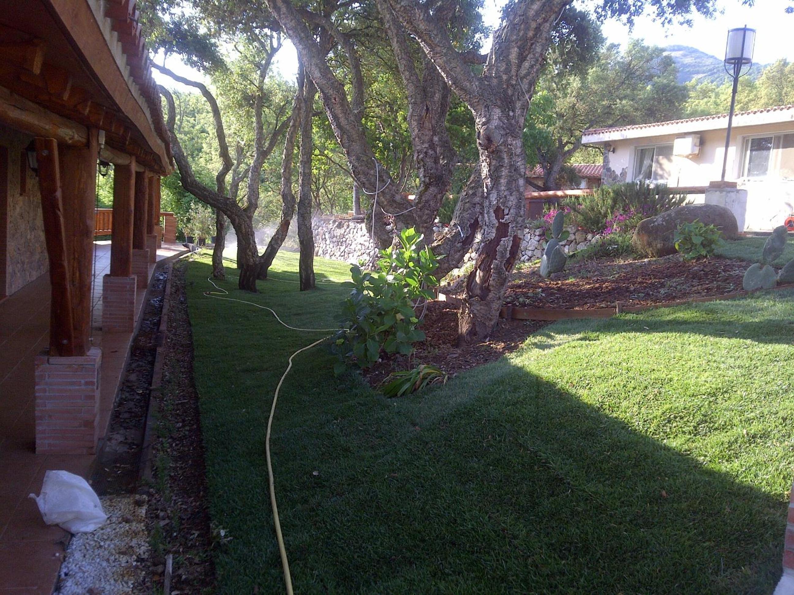 Photo 32