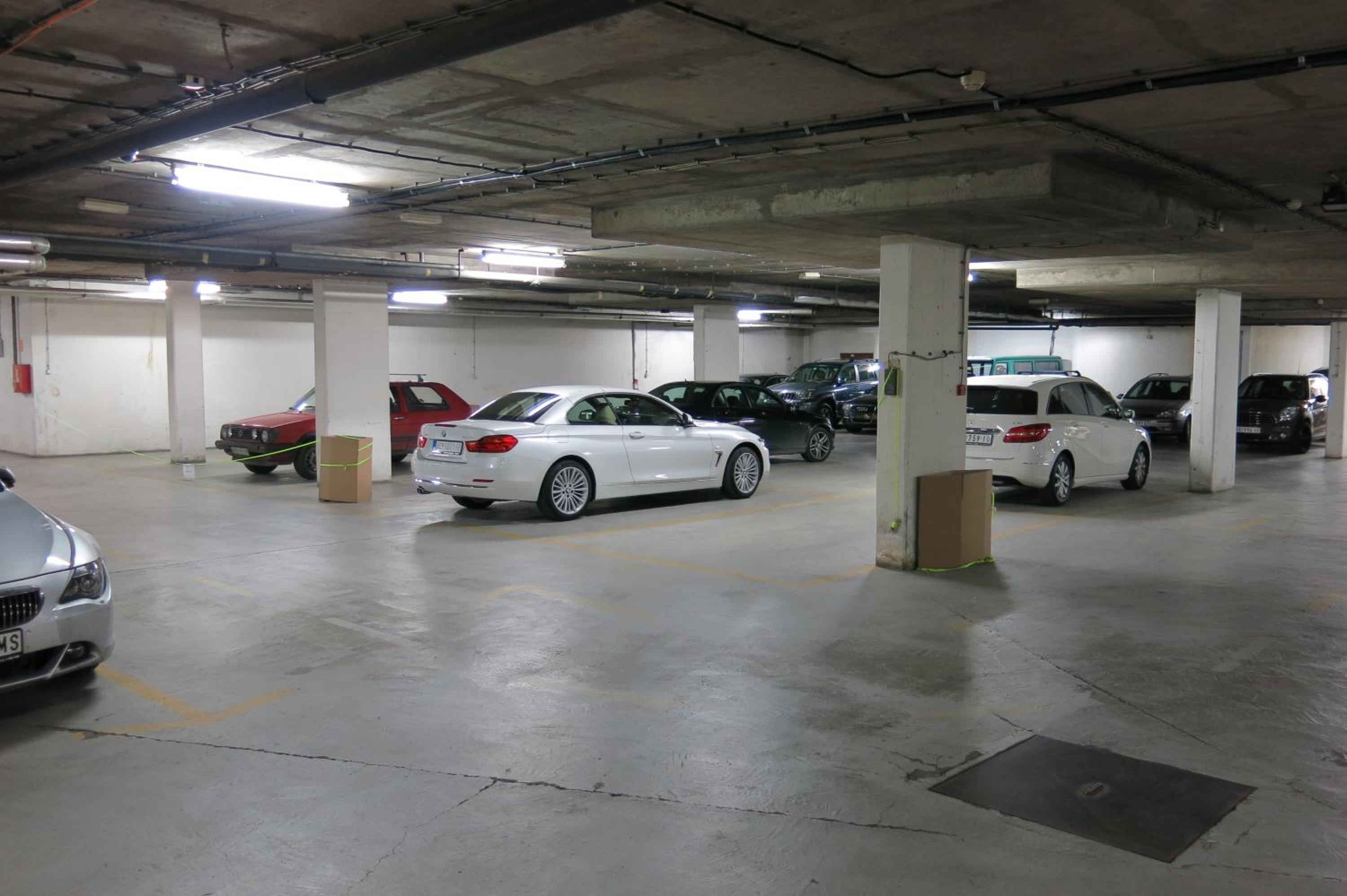 Photo 42