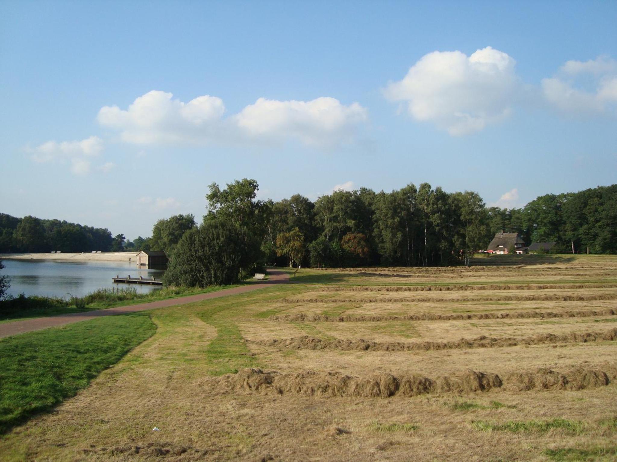 Photo 24