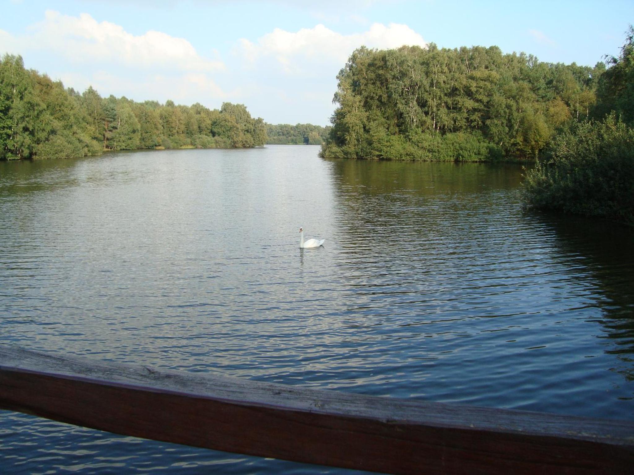 Photo 32