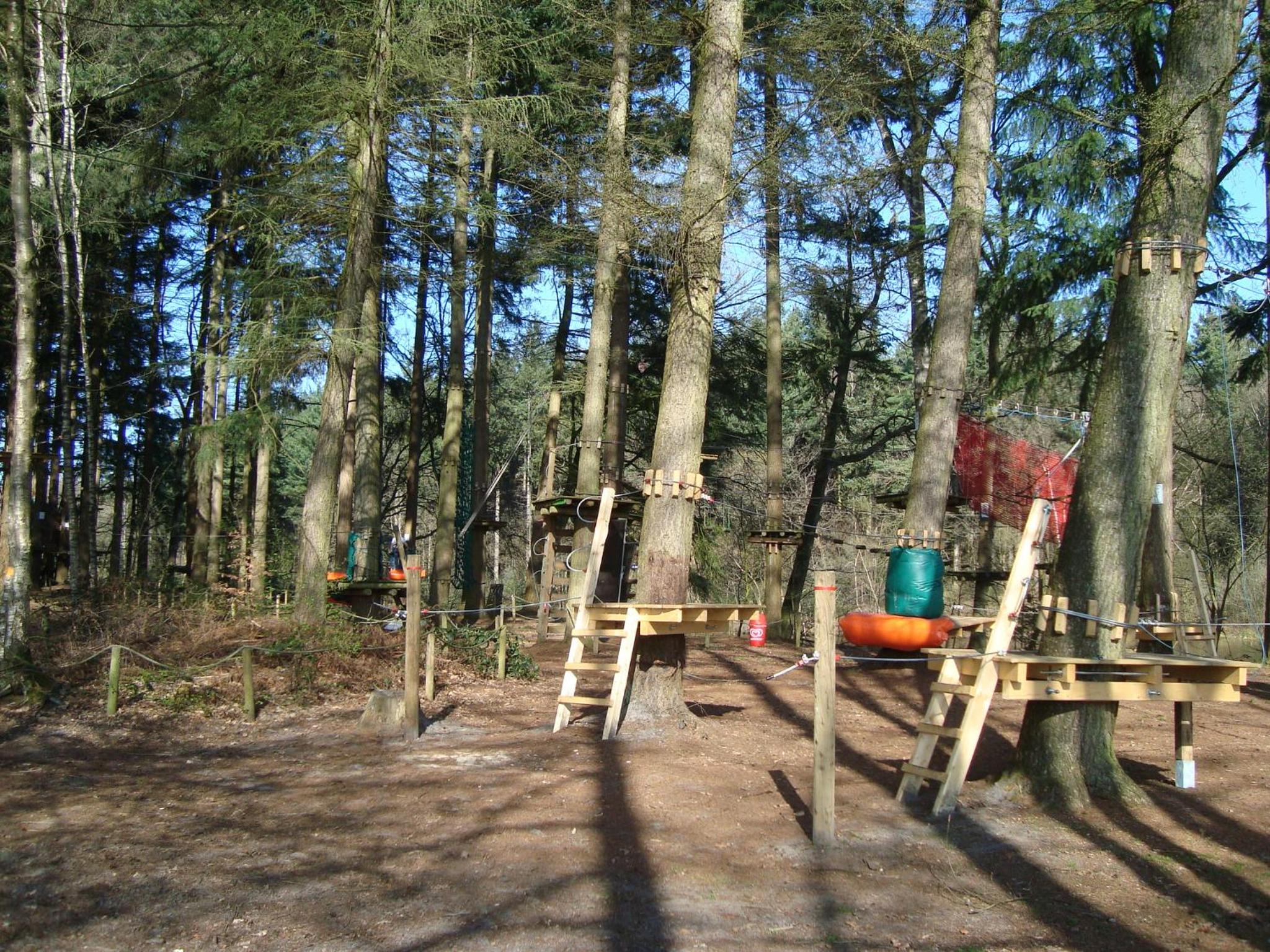 Photo 25