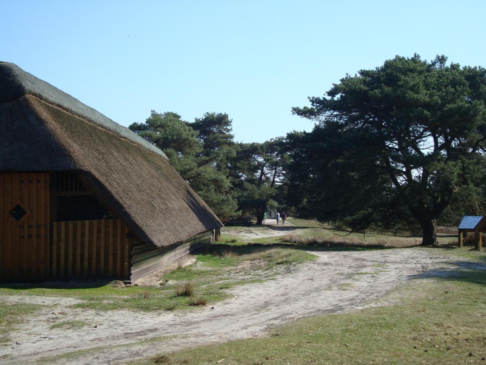 Photo 30