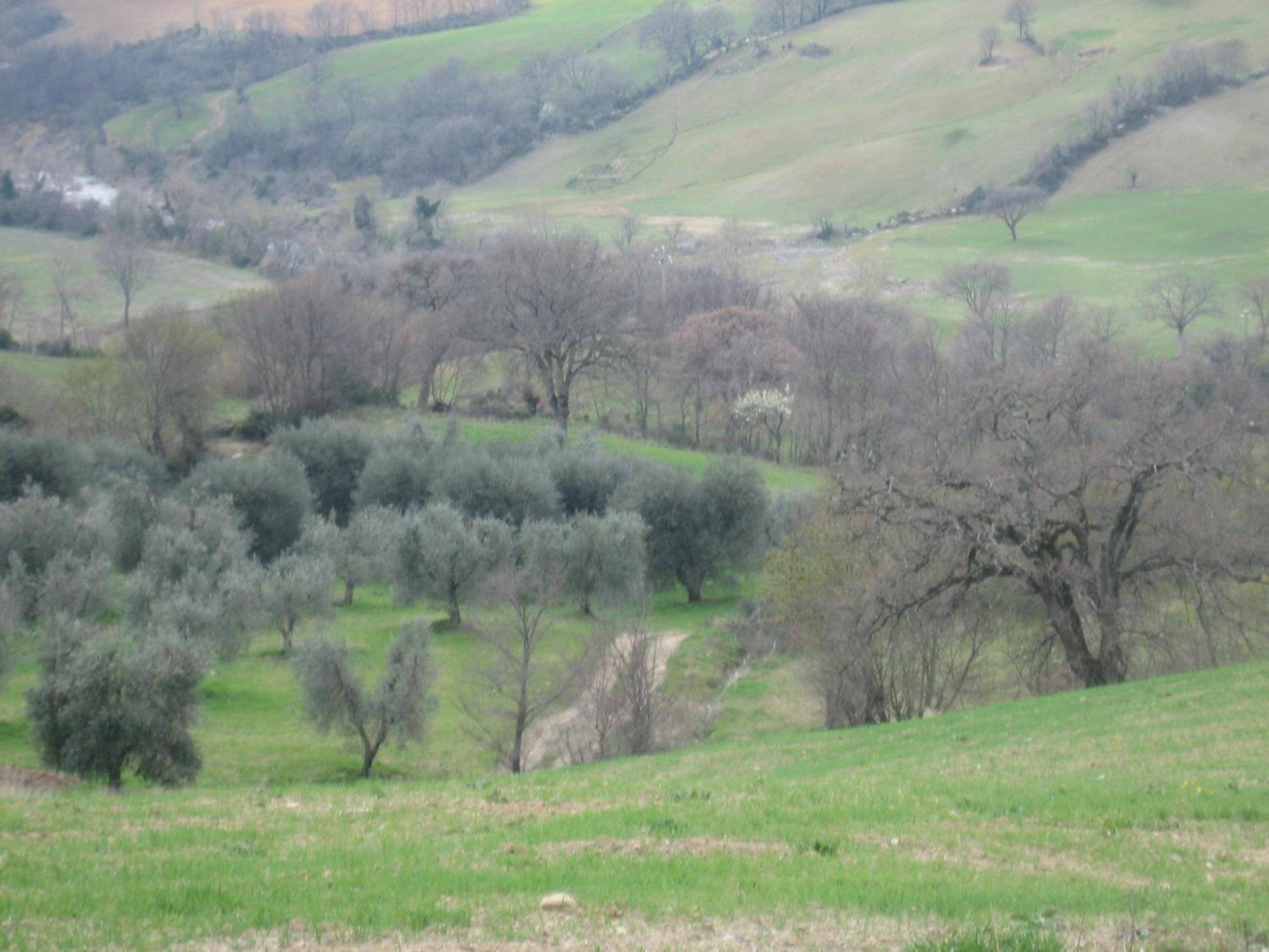 Agriturismo Casa Fibbianello