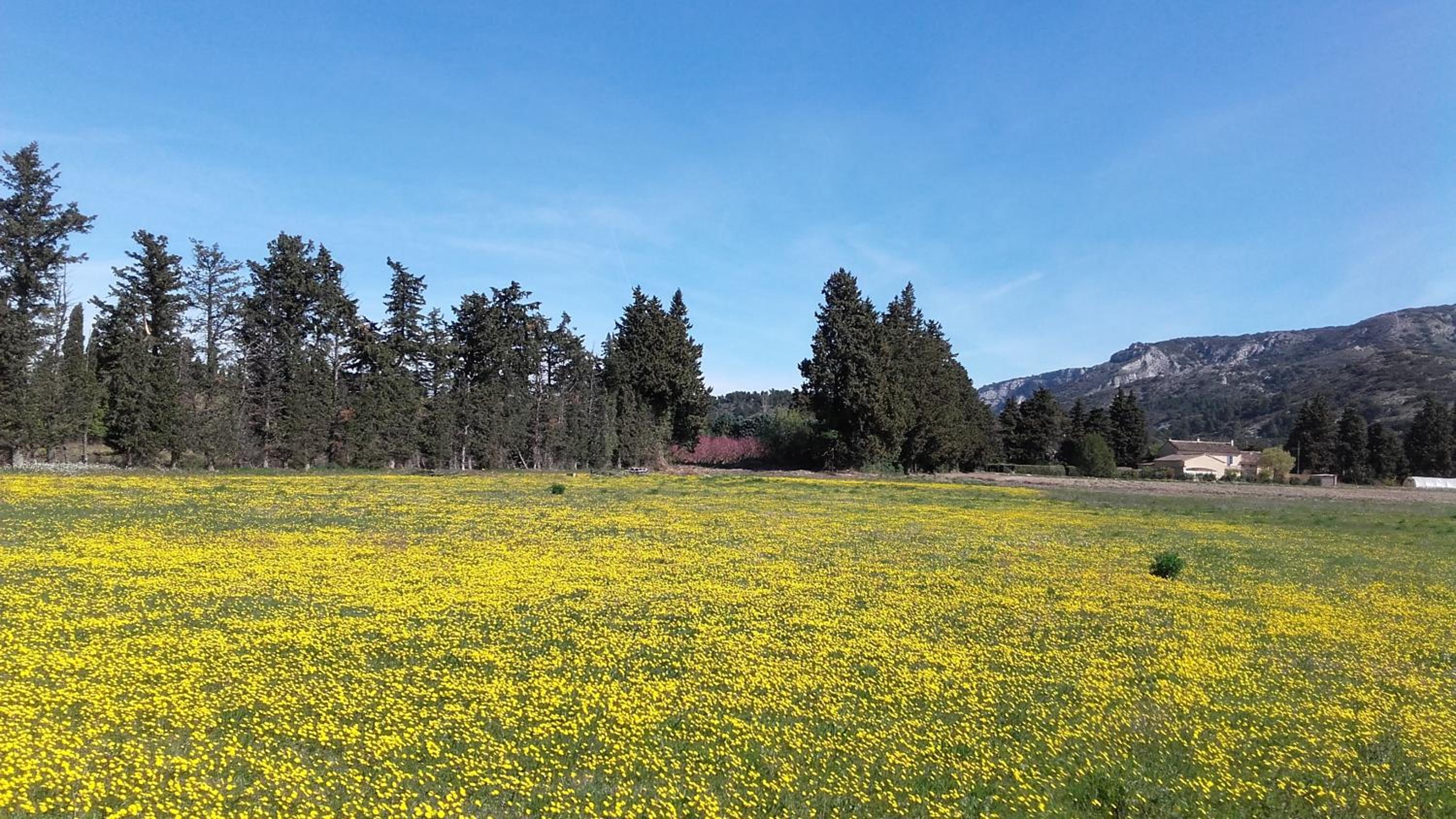 Aubade en Luberon
