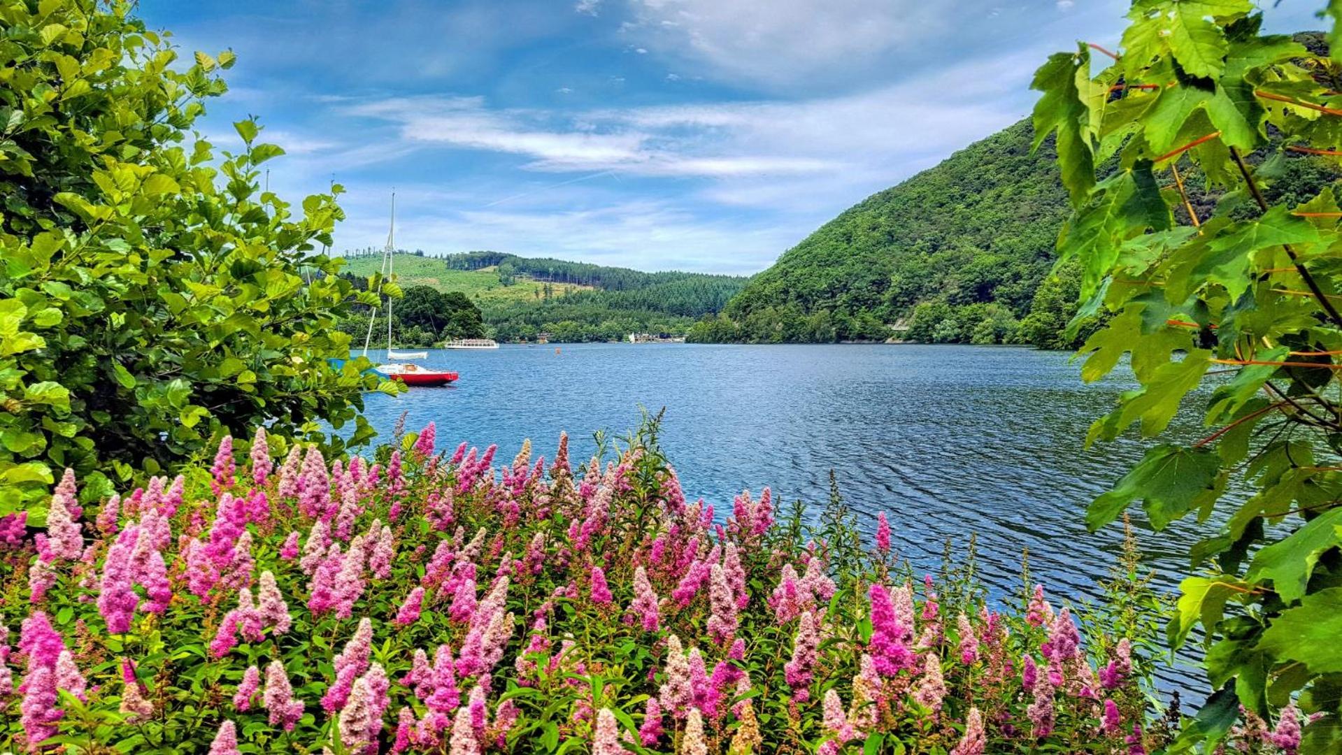 Chaletpark Diemelsee