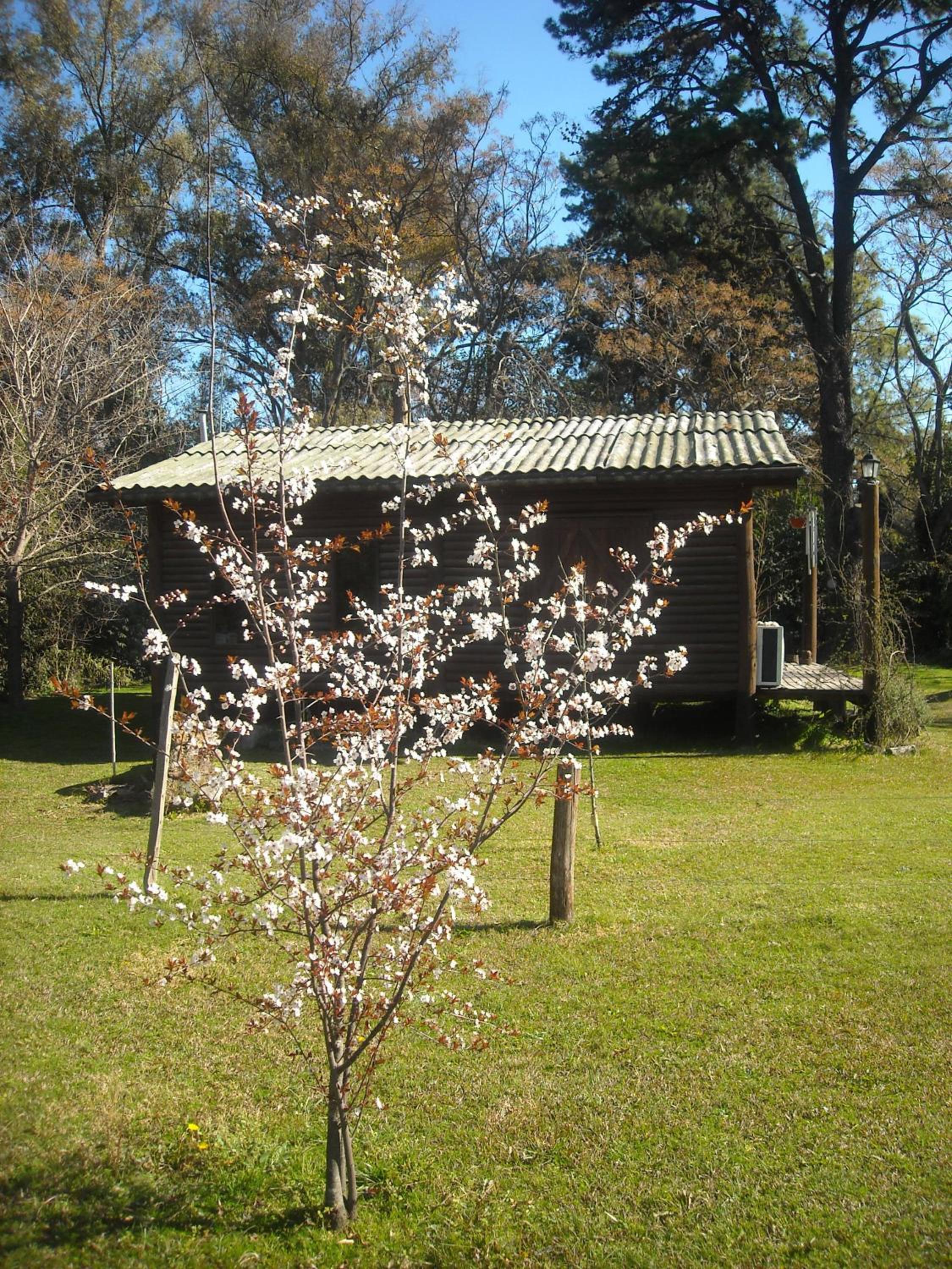 Cabañas Las Lavandas en Pilar