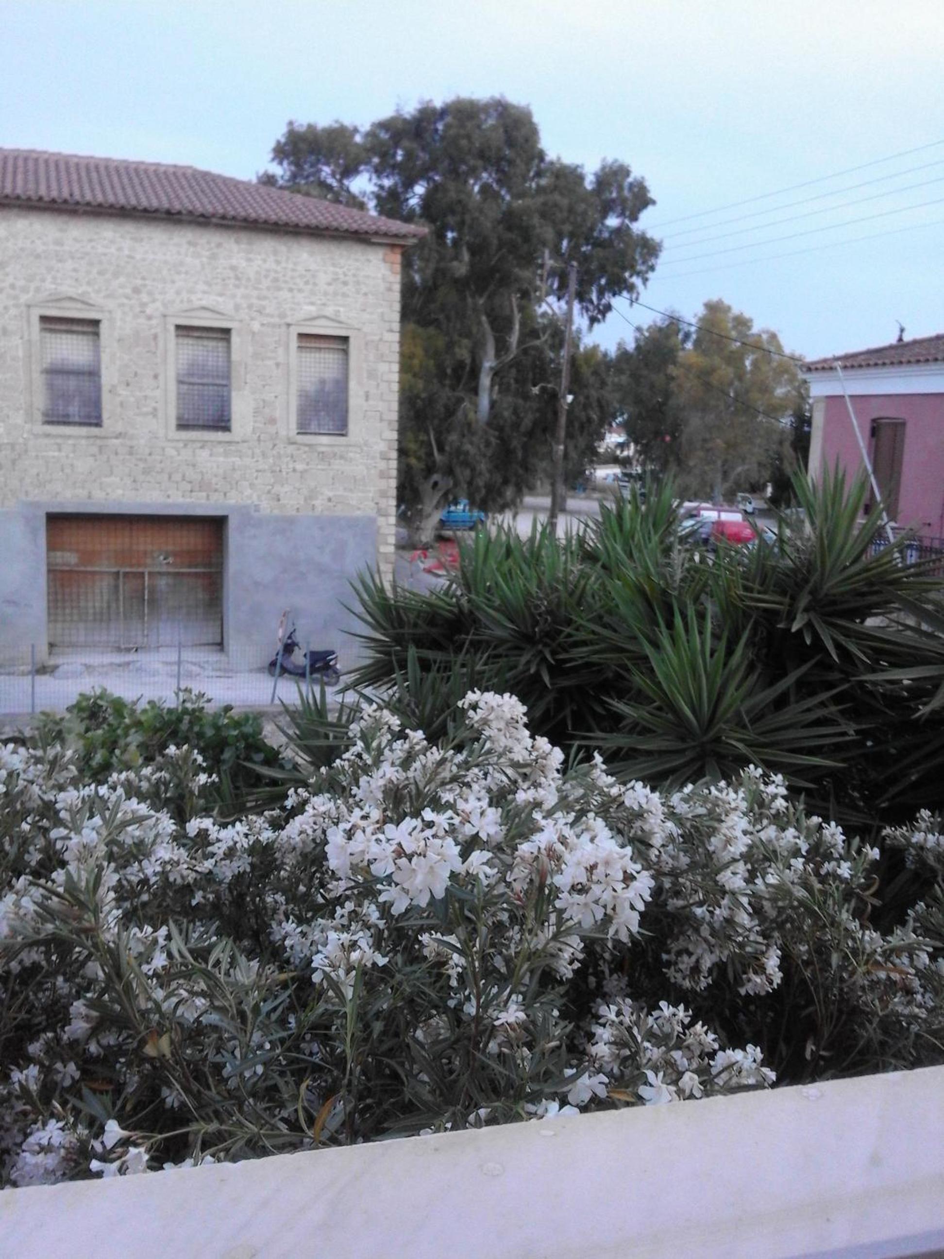 Photo 47