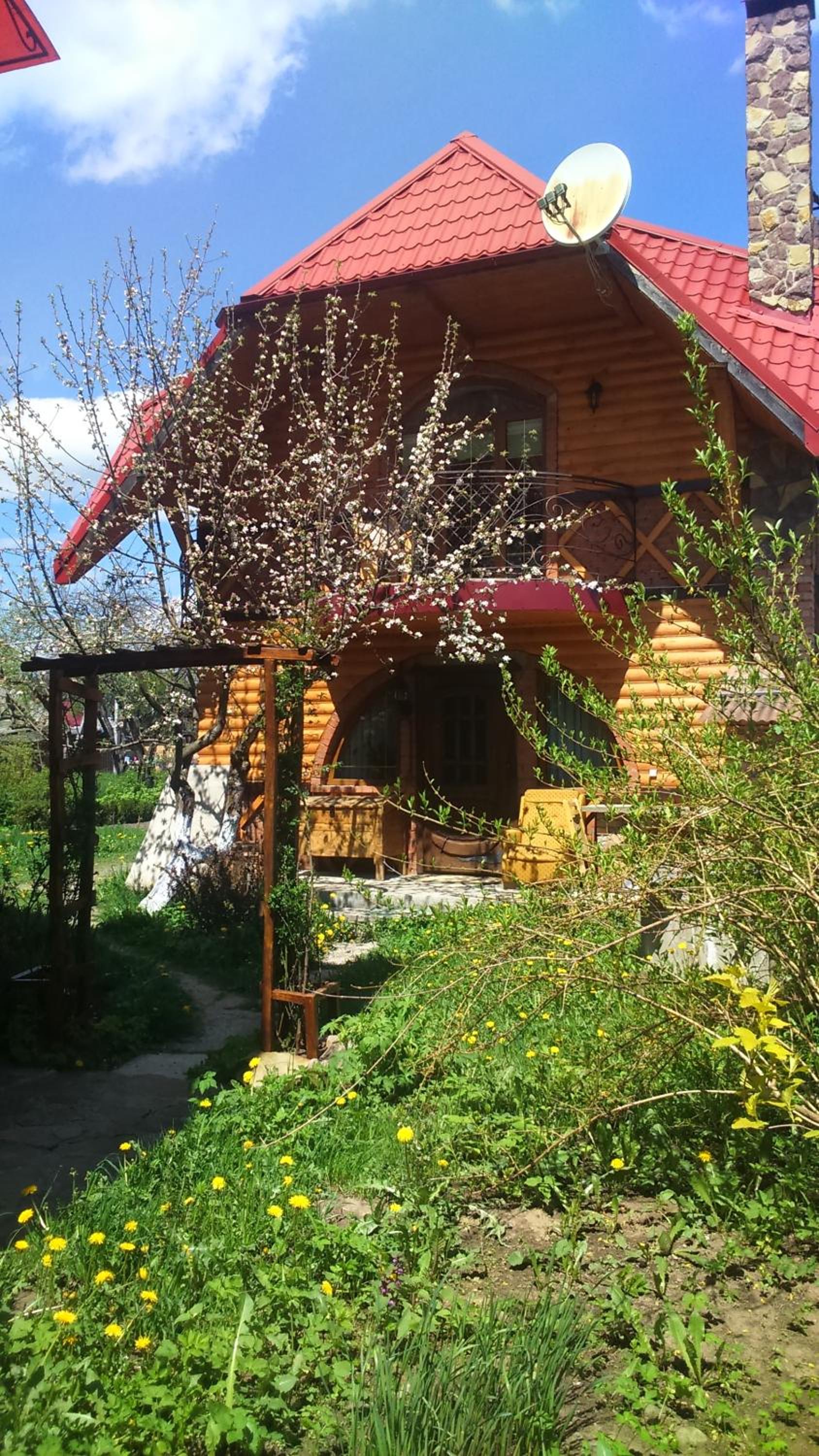 Photo 51
