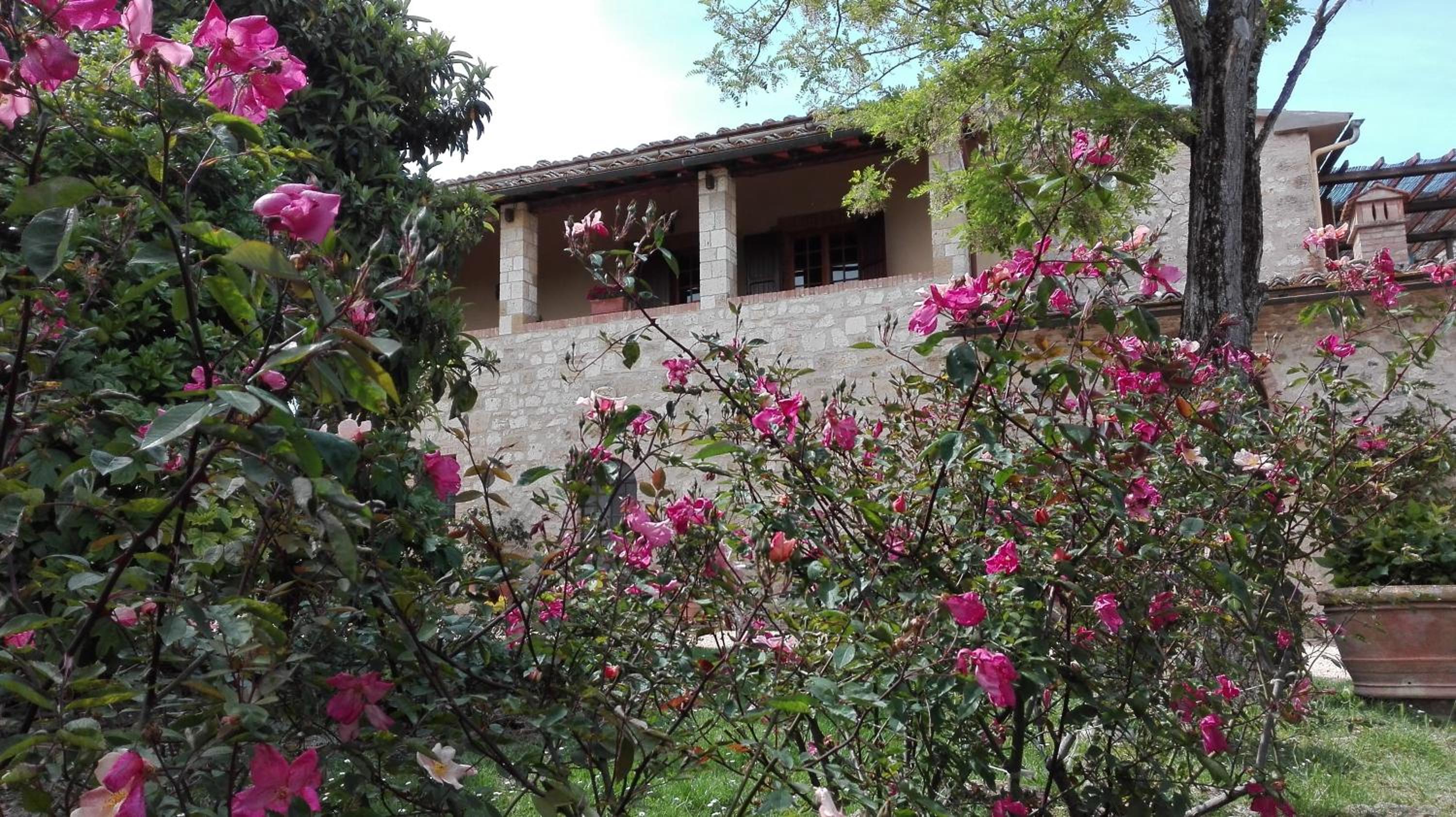 Photo 41