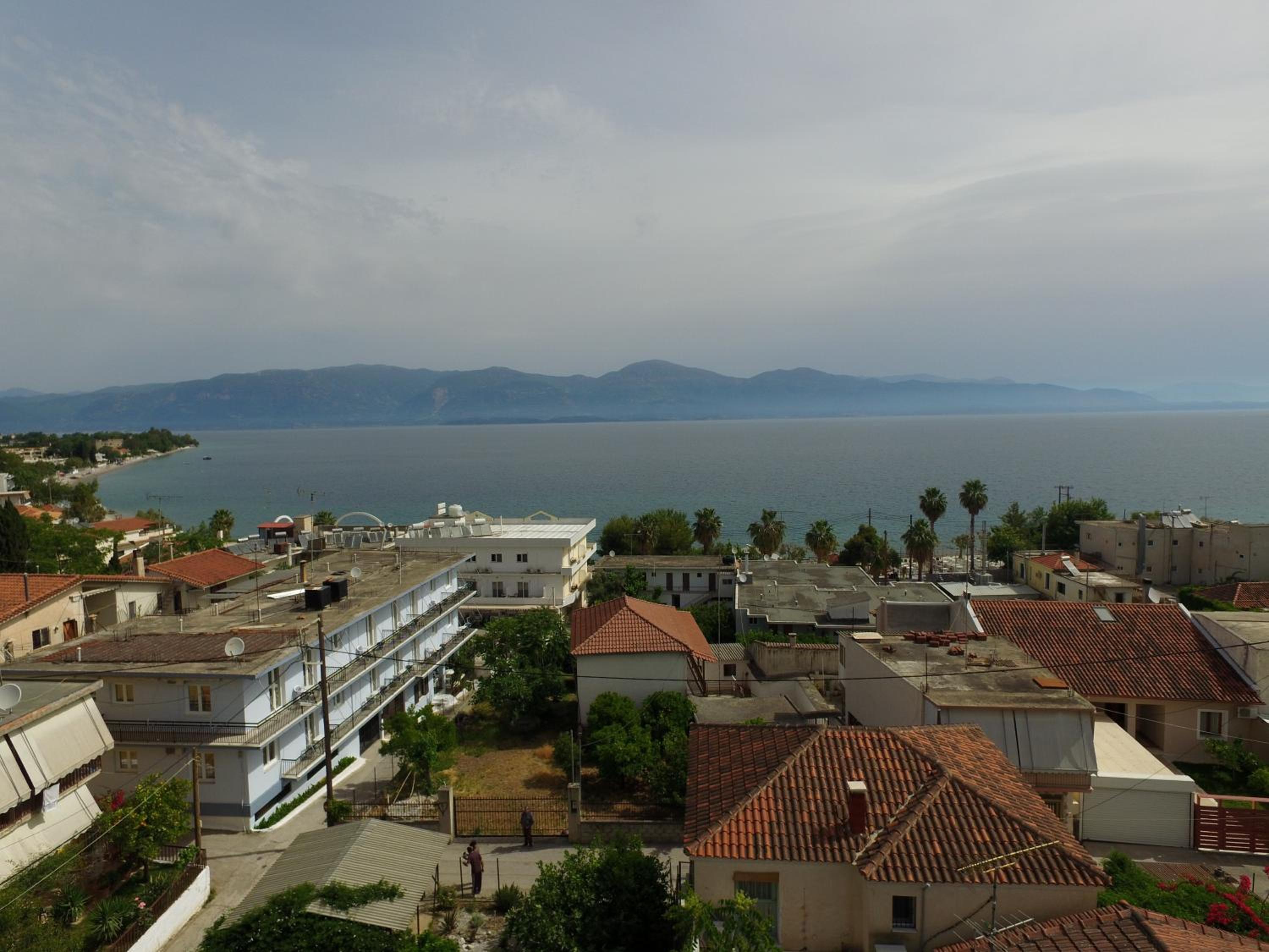 Photo 44