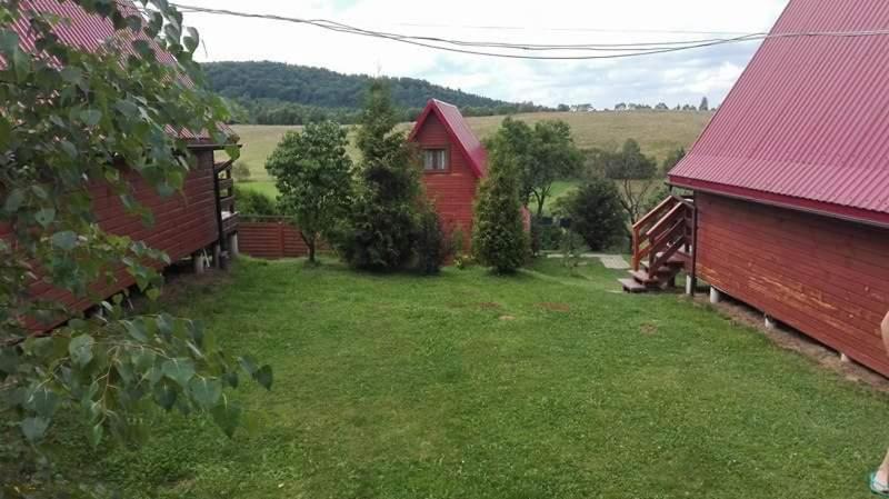 Photo 19