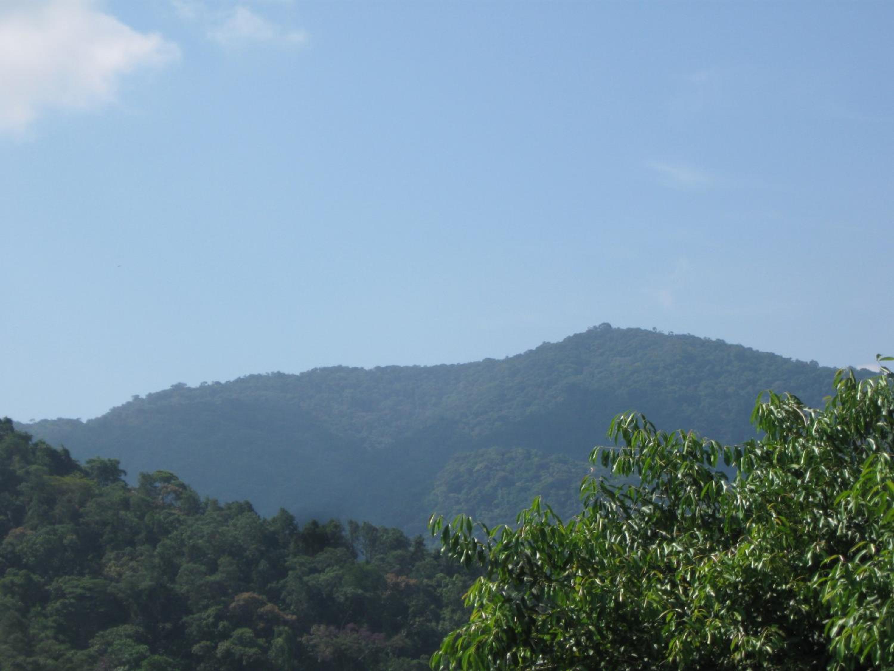 Photo 45
