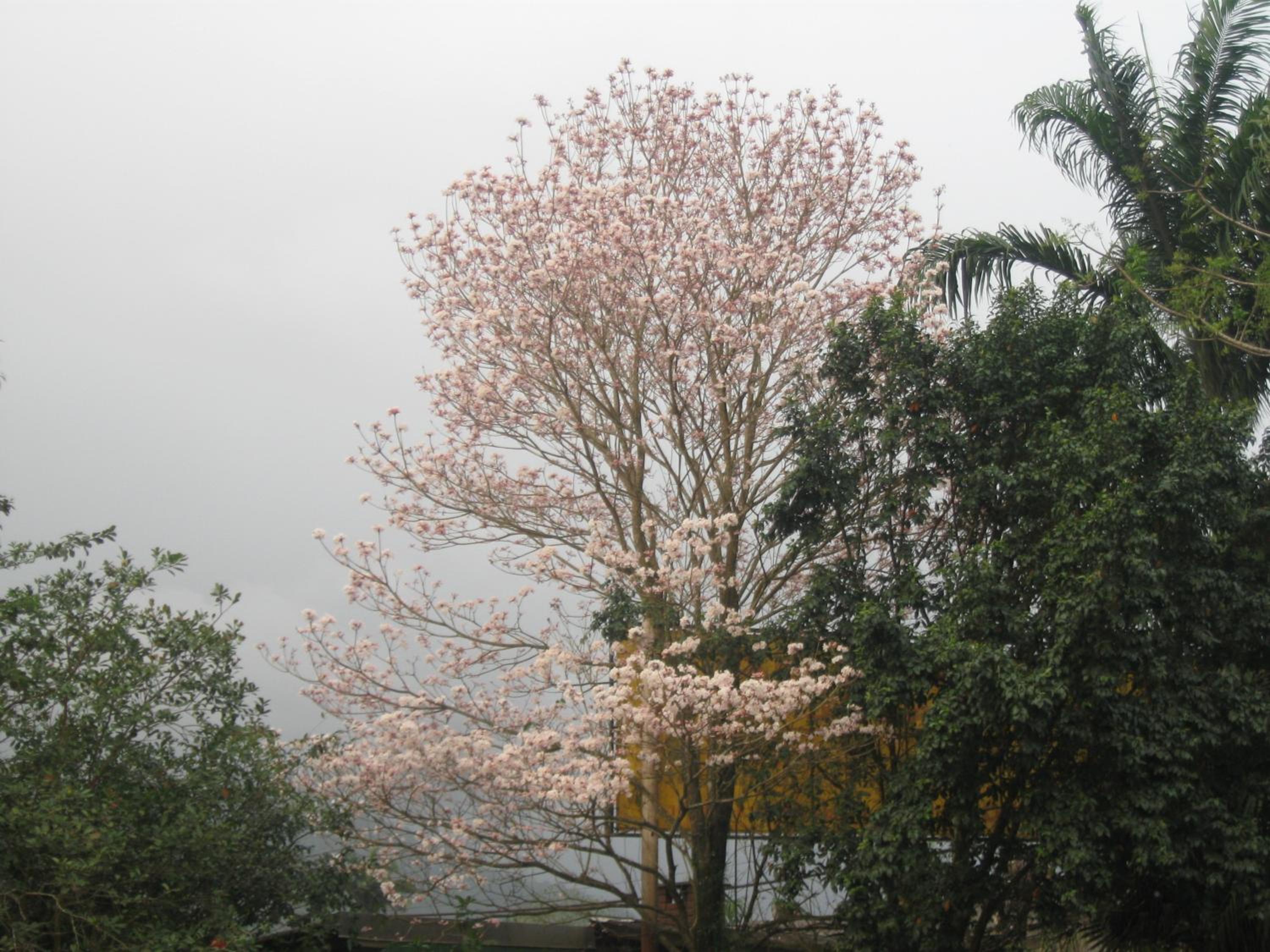 Photo 44