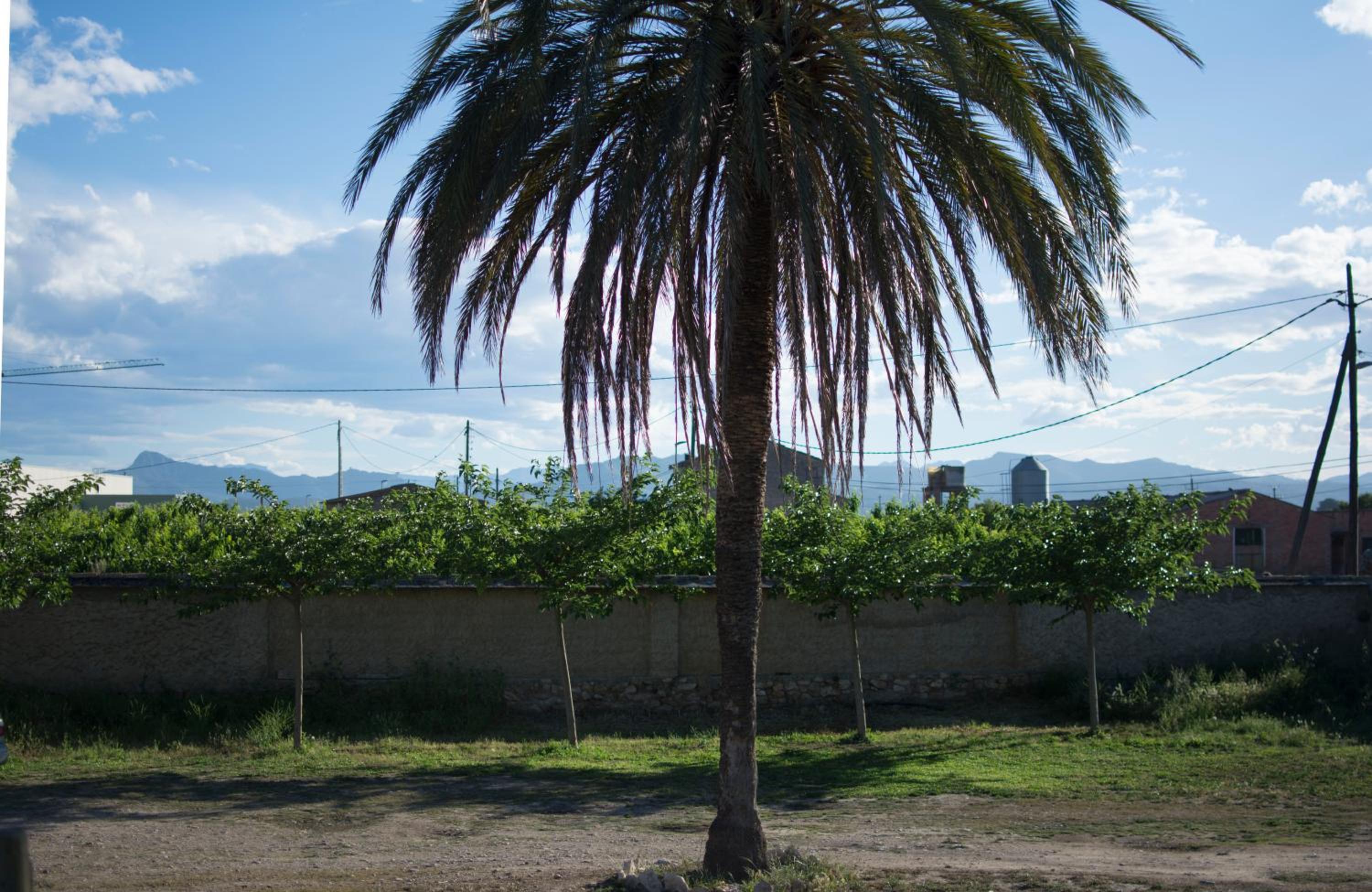 Mas Taniet Hotel Rural
