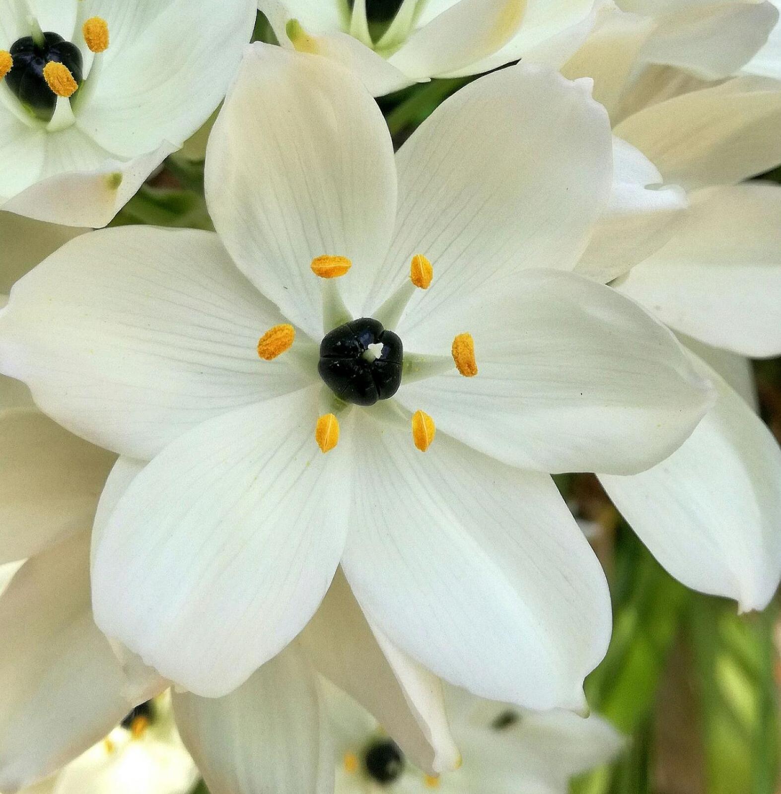 Photo 44
