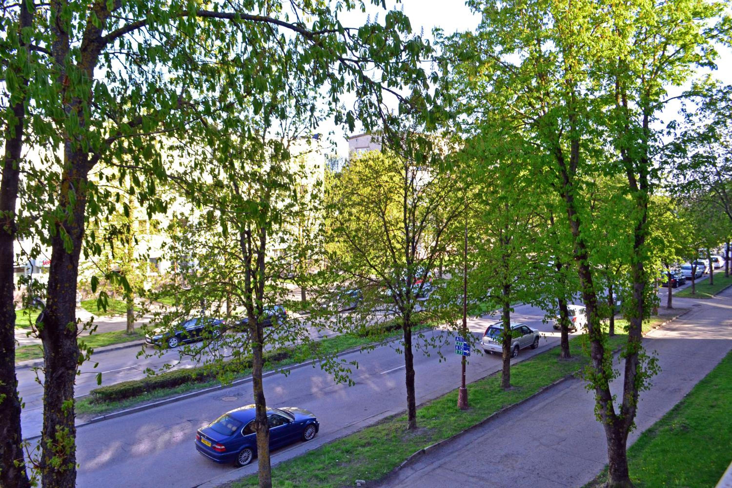 Draugystės Apartment view 2