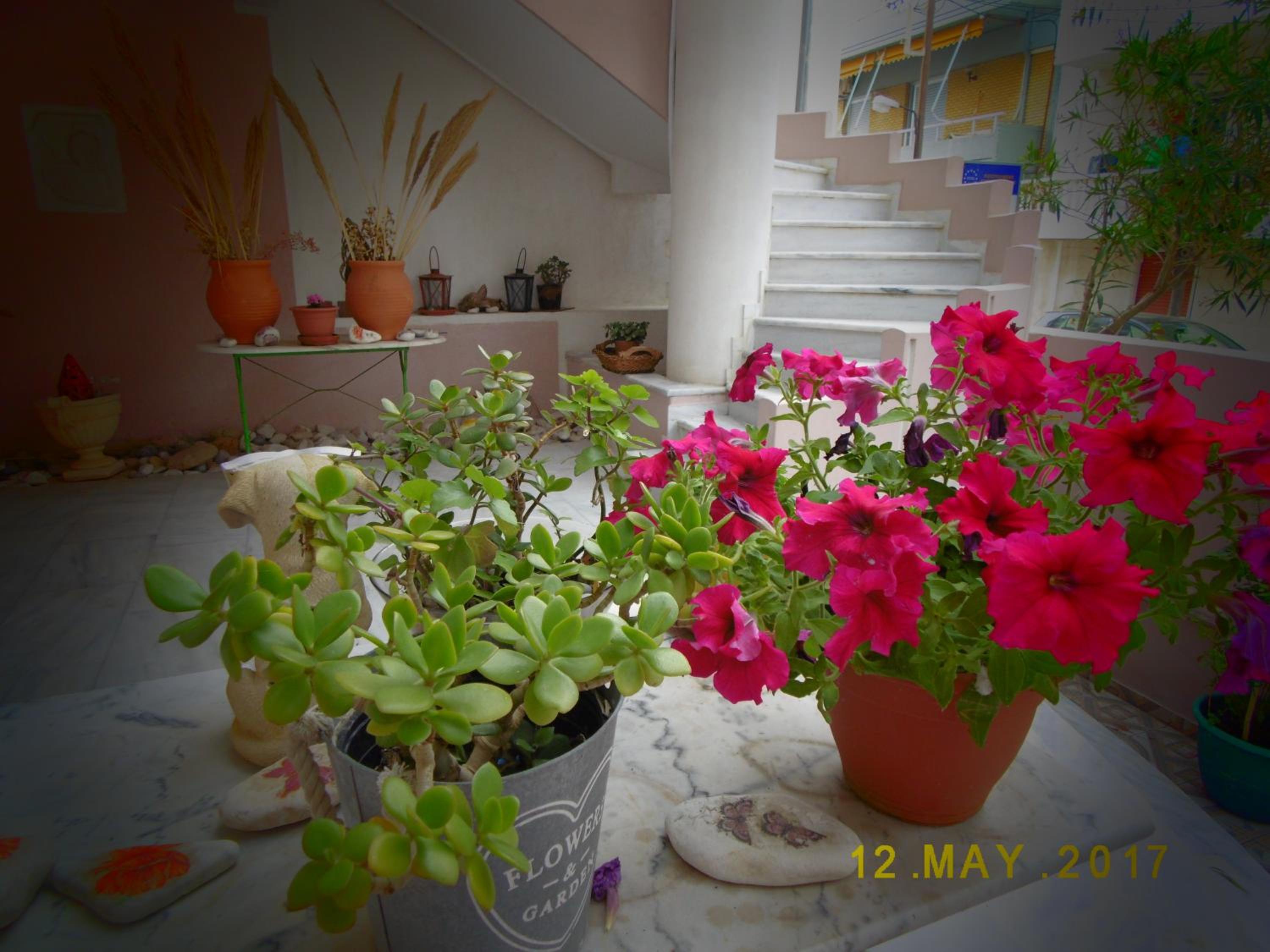 Photo 65