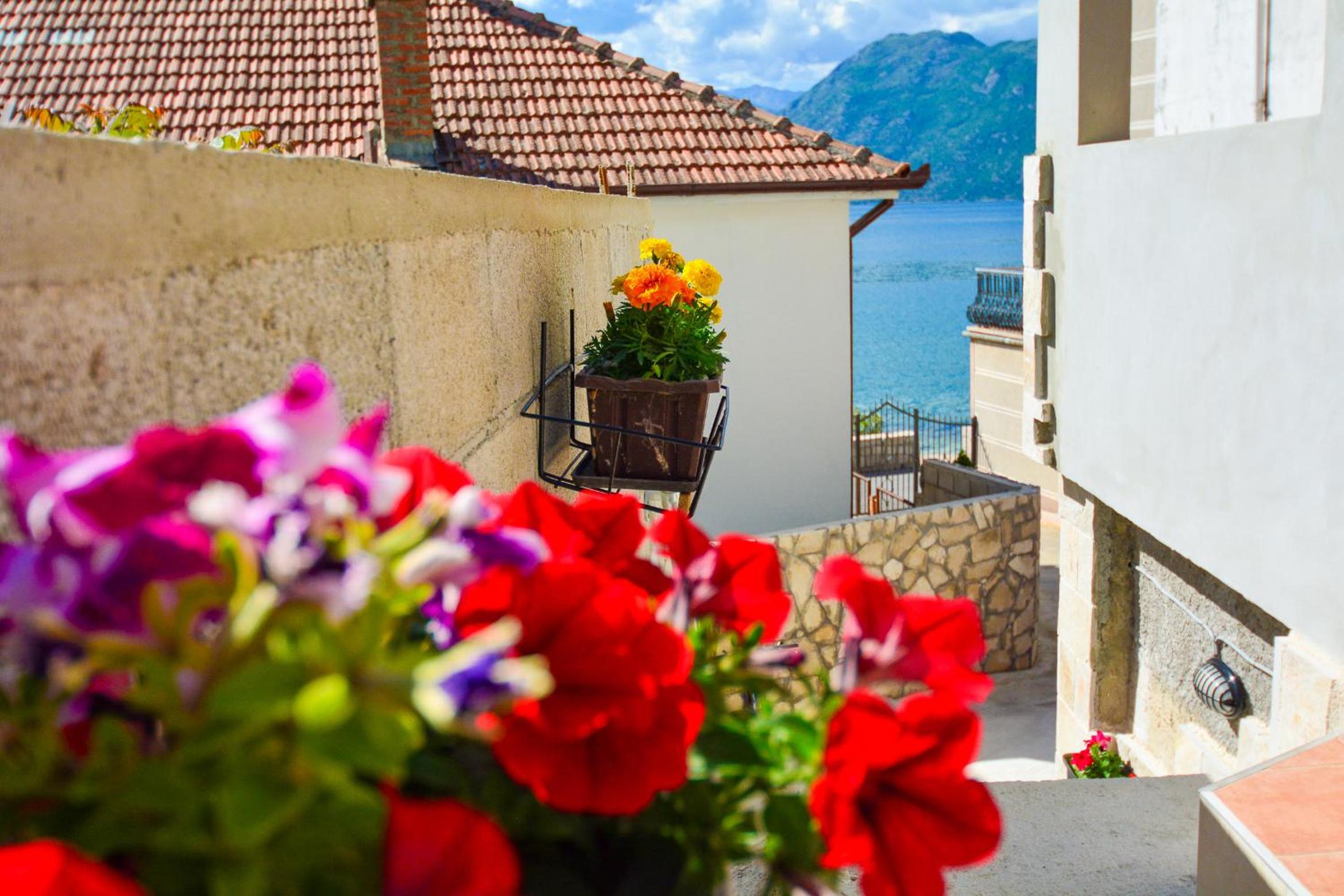 Photo 51