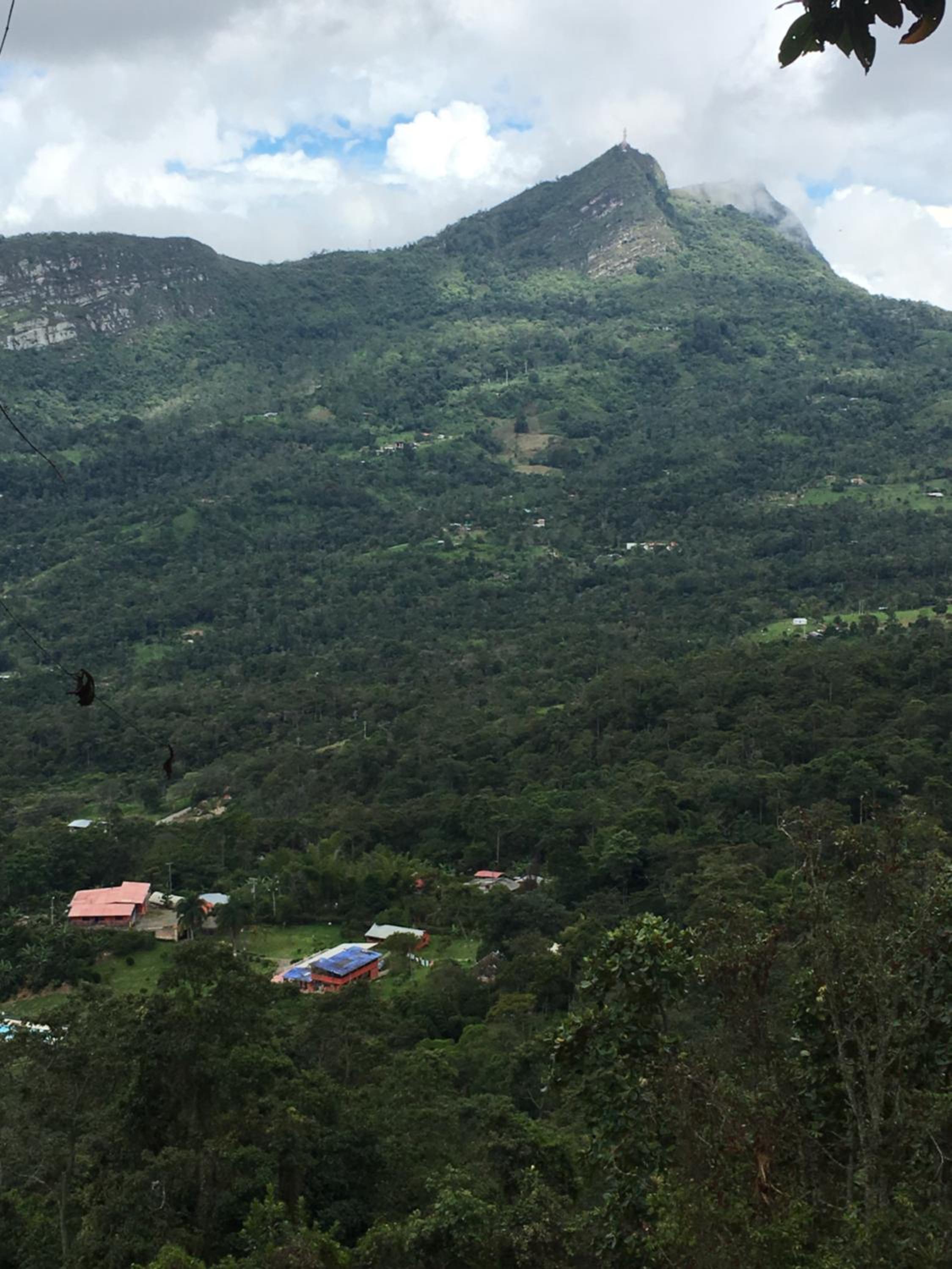 Las Mercedes Finca Cafetera