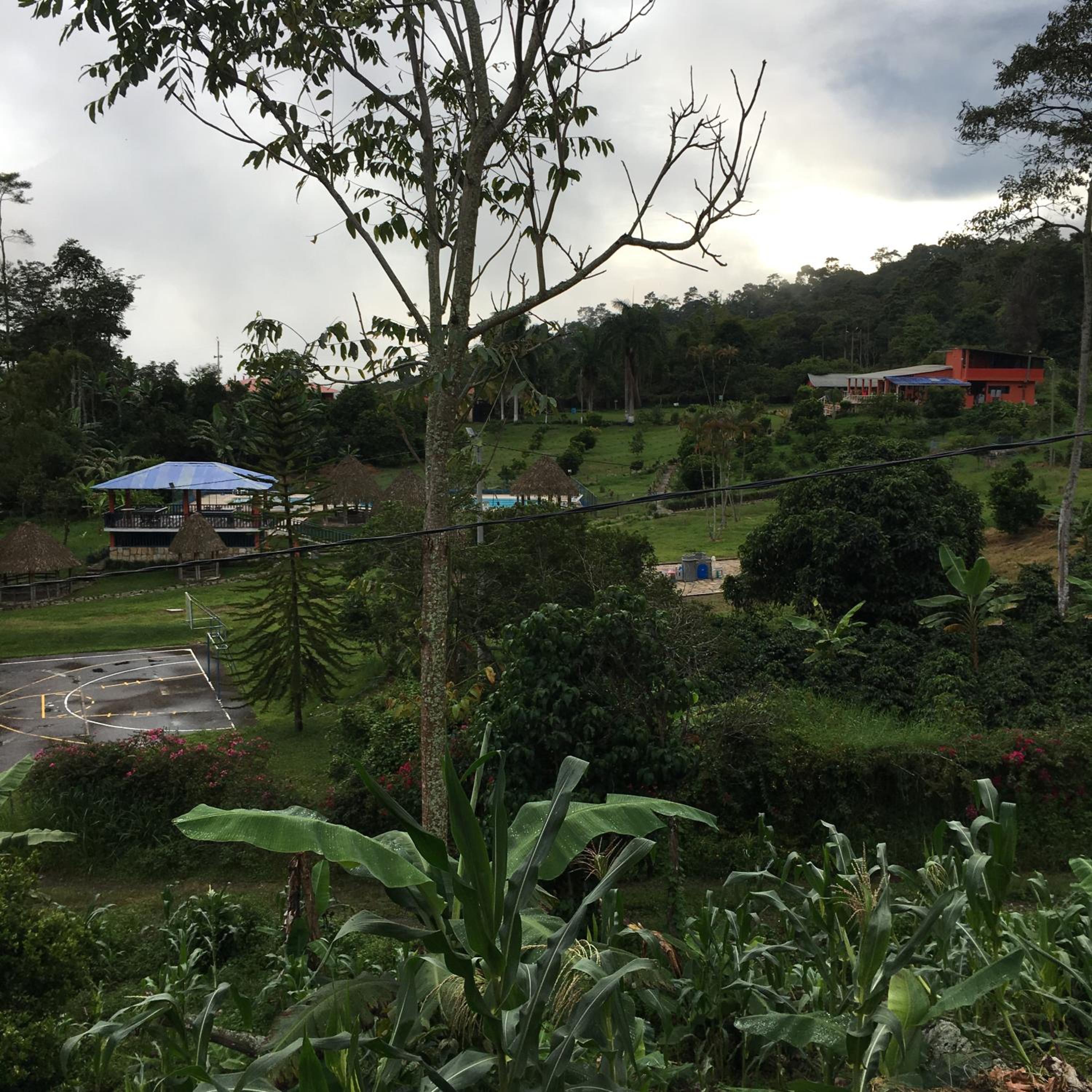 Las Mercedes Finca Cafetera