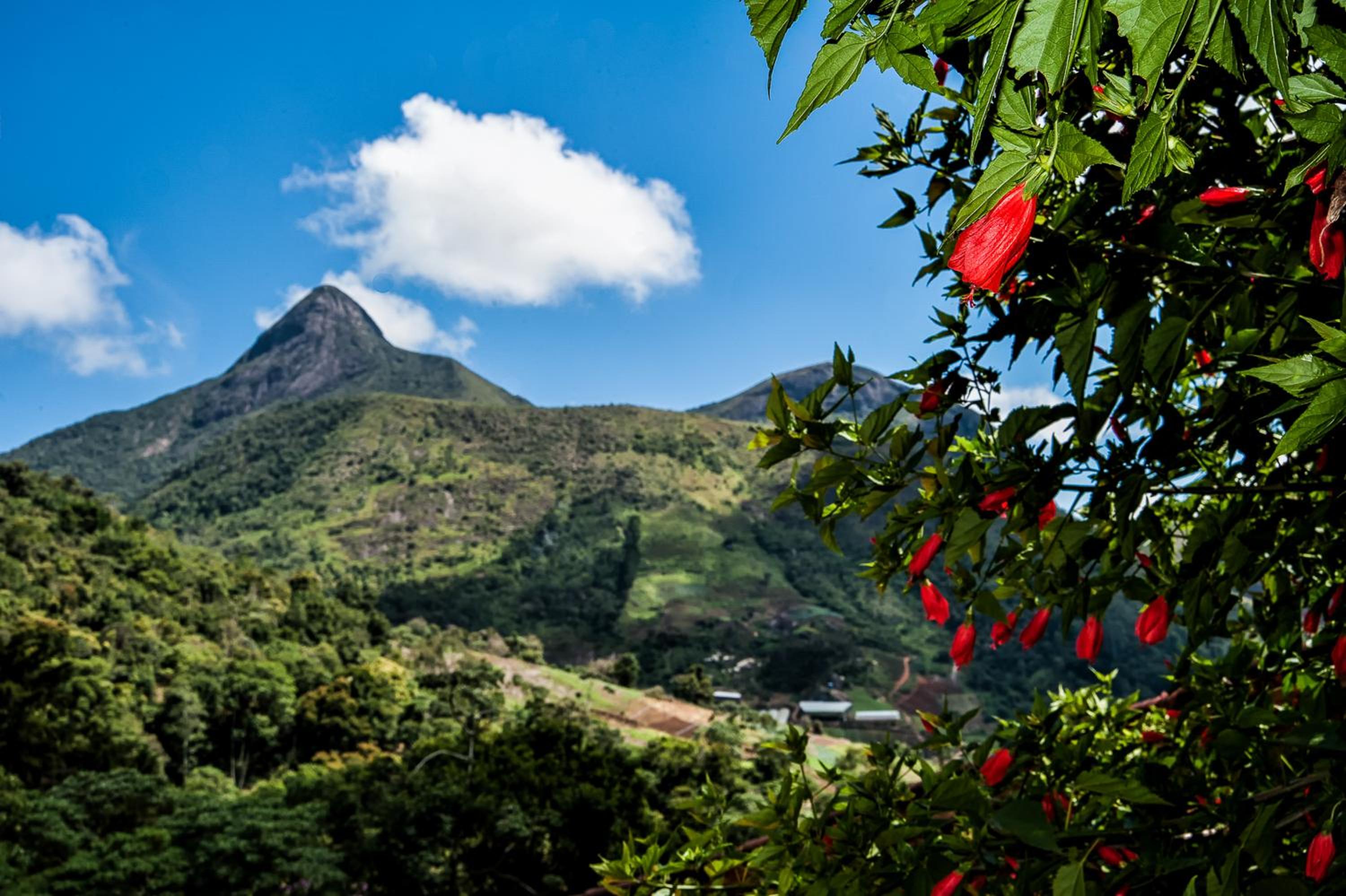 Pousada Paraíso Açú