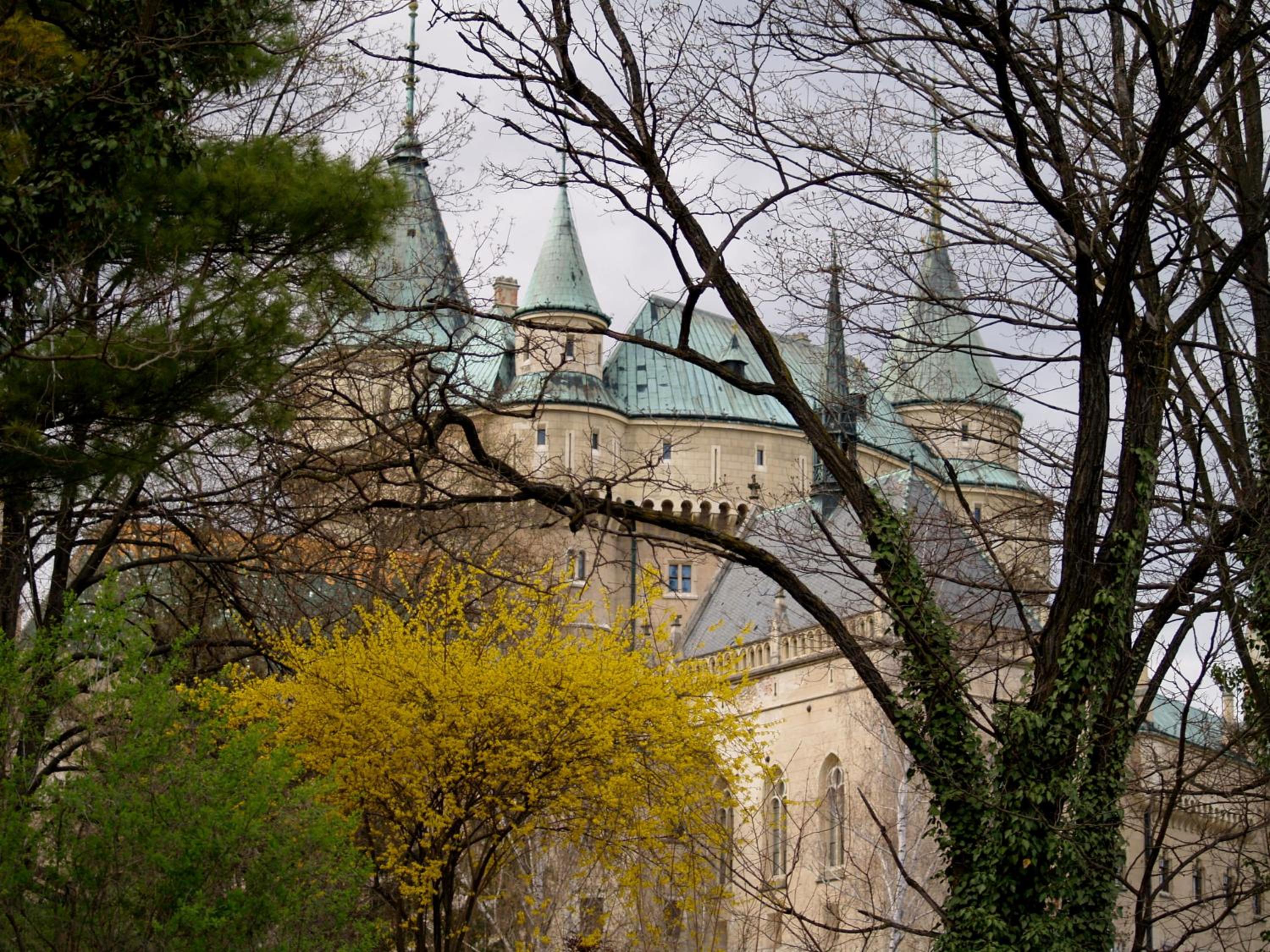 Photo 33