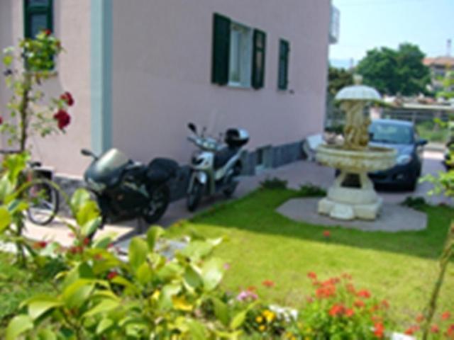 Photo 46