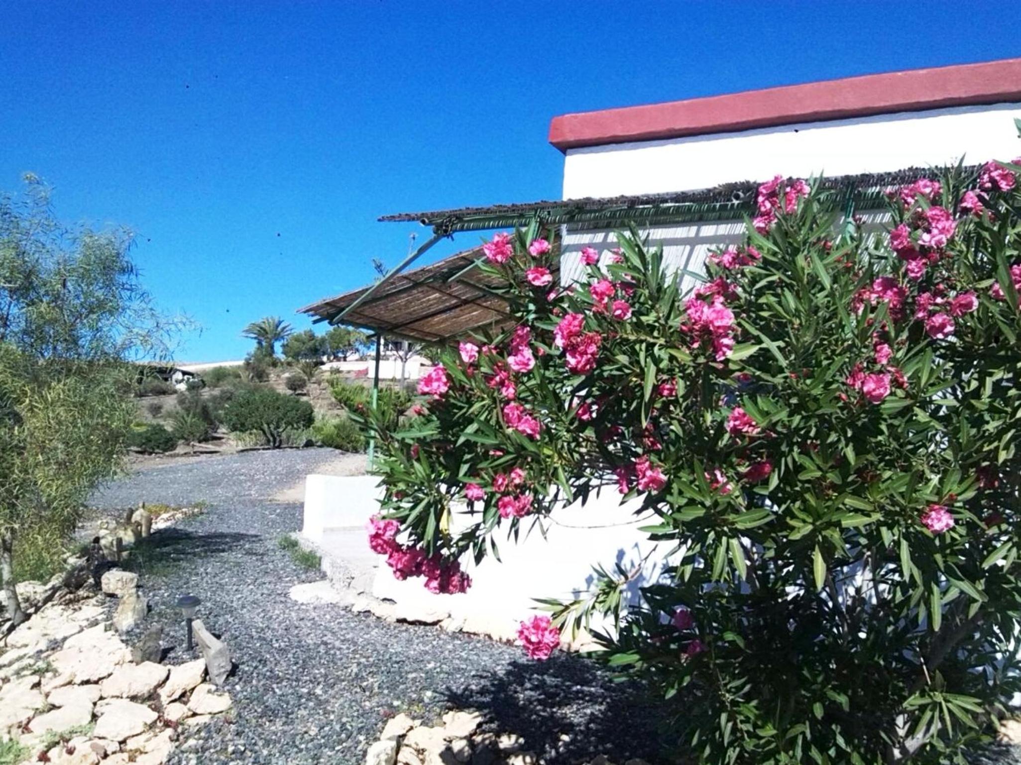 Casa-Molino view 5