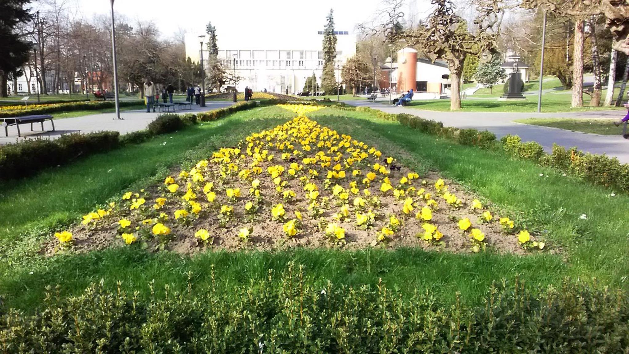 Photo 31