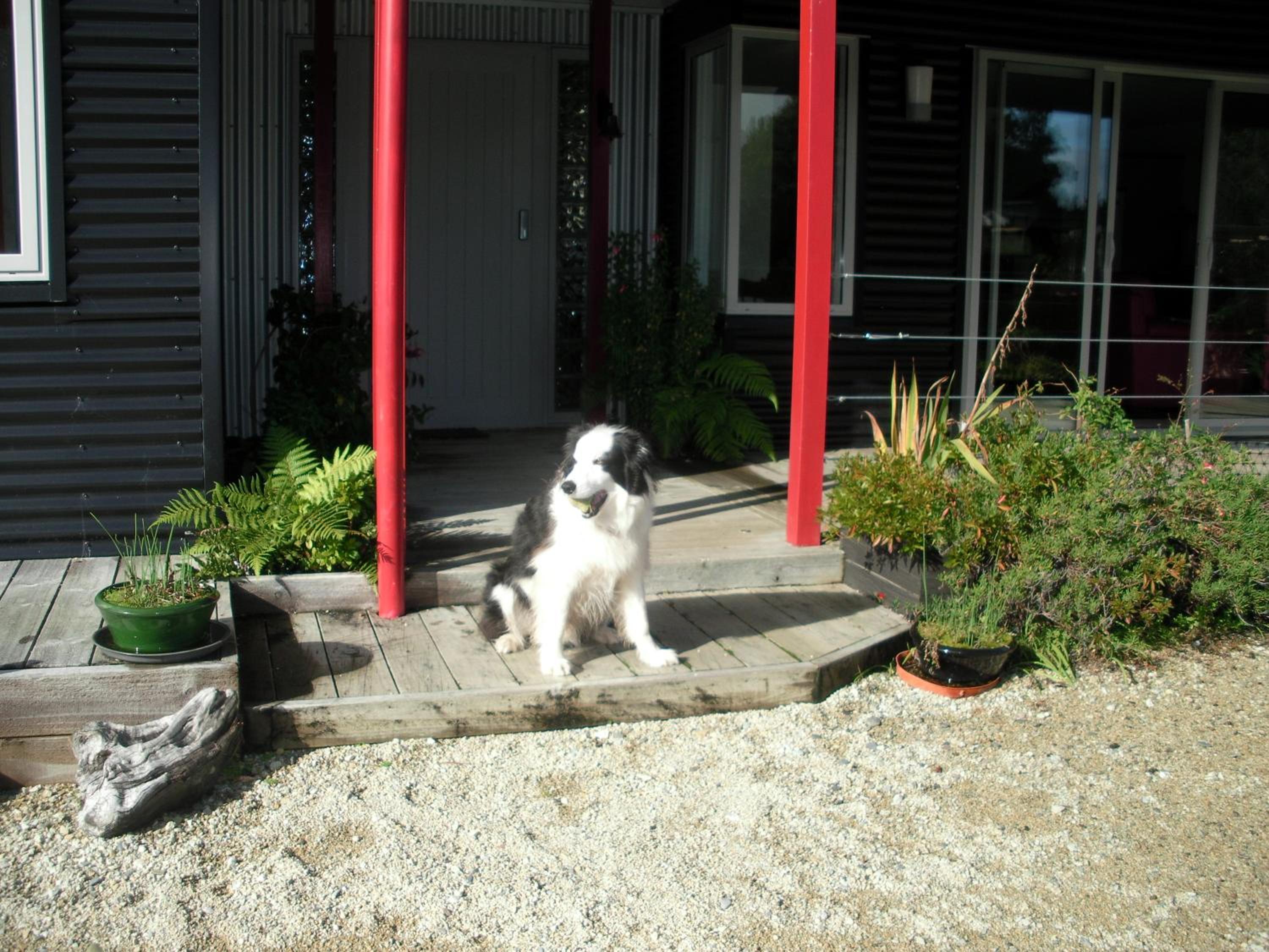 Photo 17