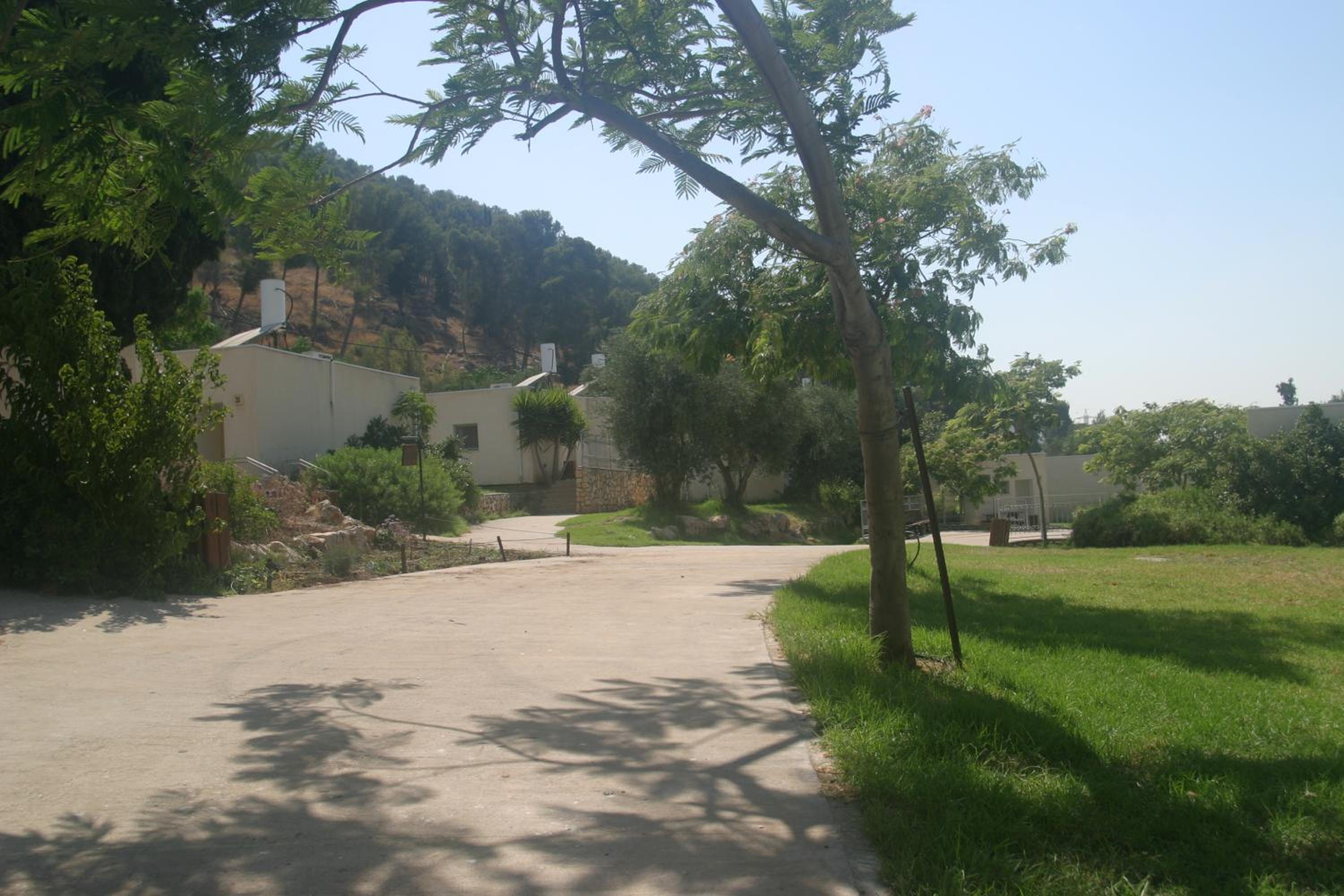 Photo 10