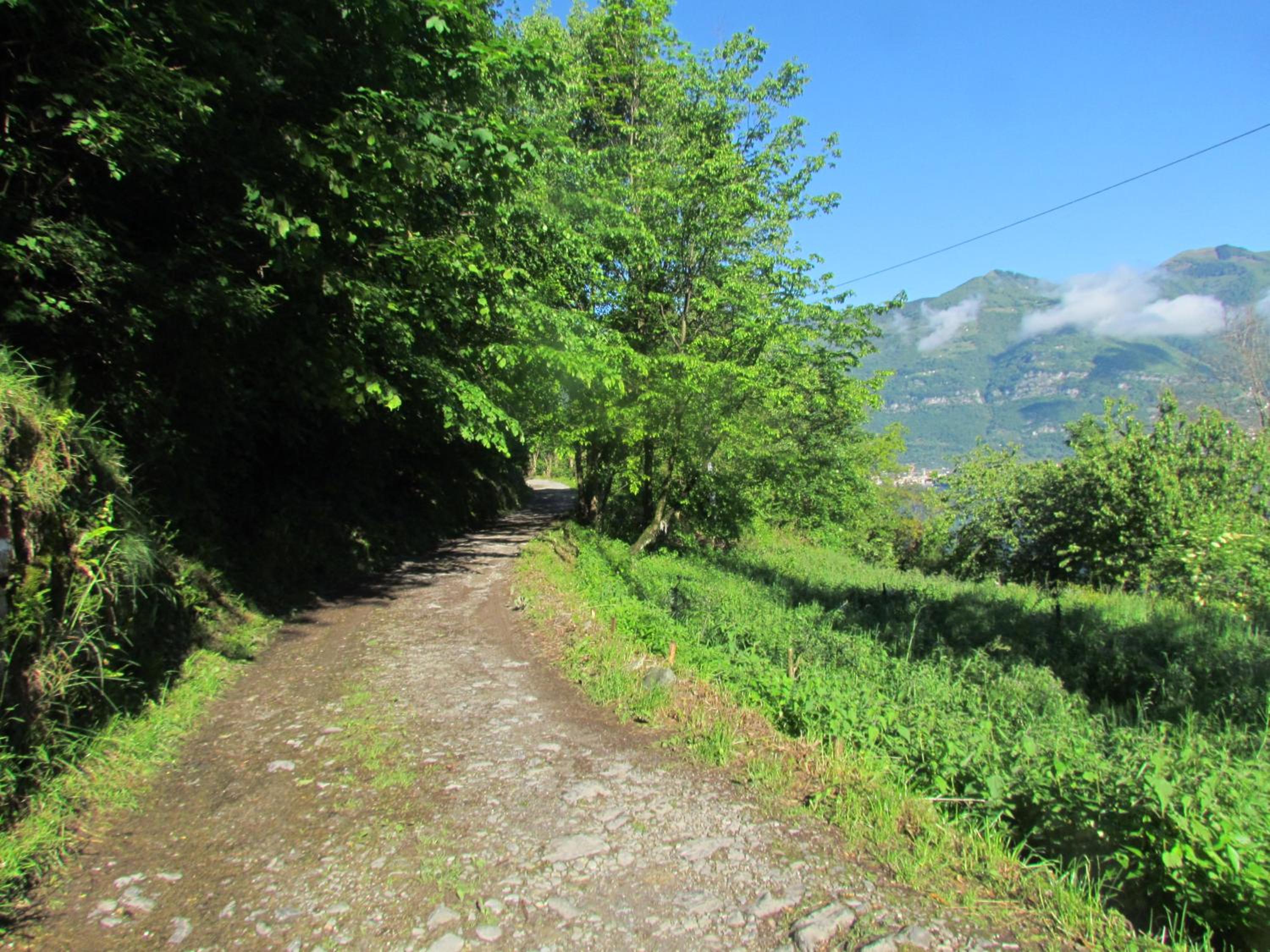 Agriturismo Madonna Dei Ceppi