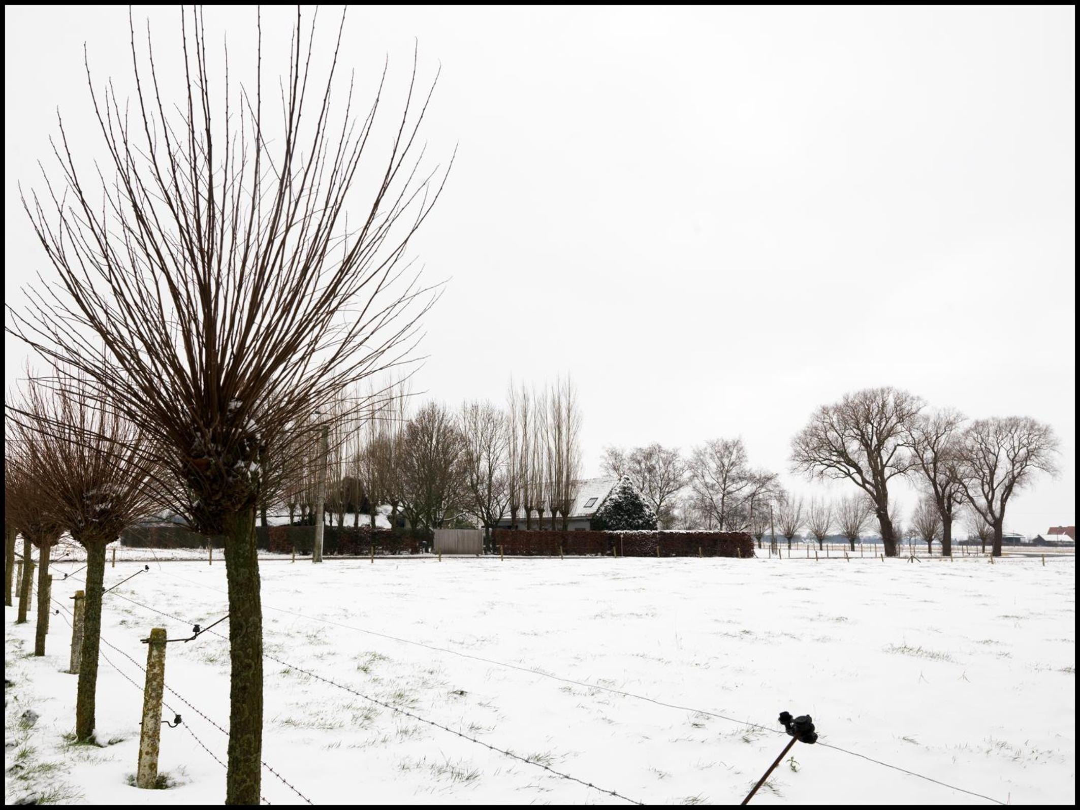 Rooseboom22