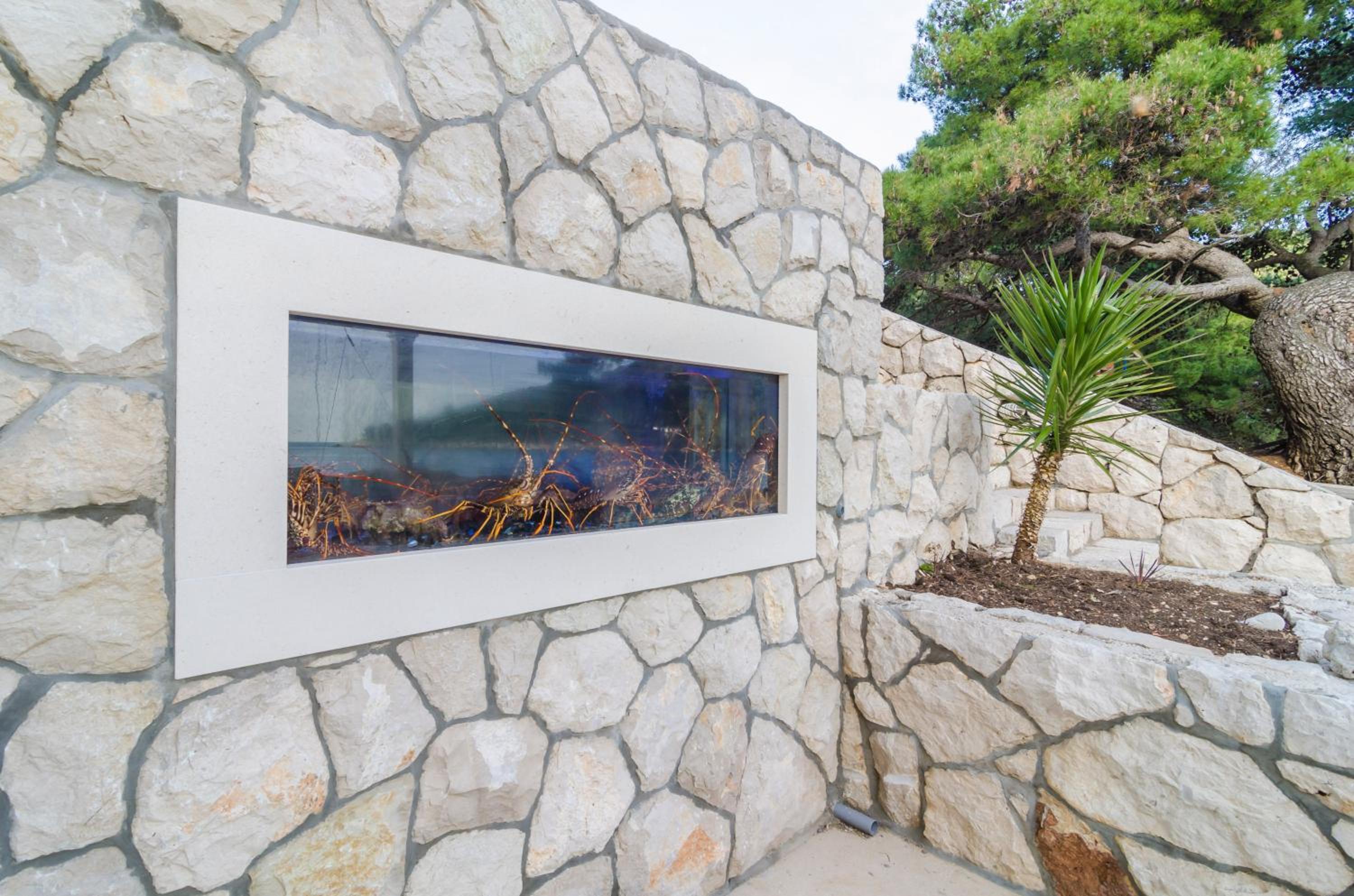 Pine Tree Boutique Apartments