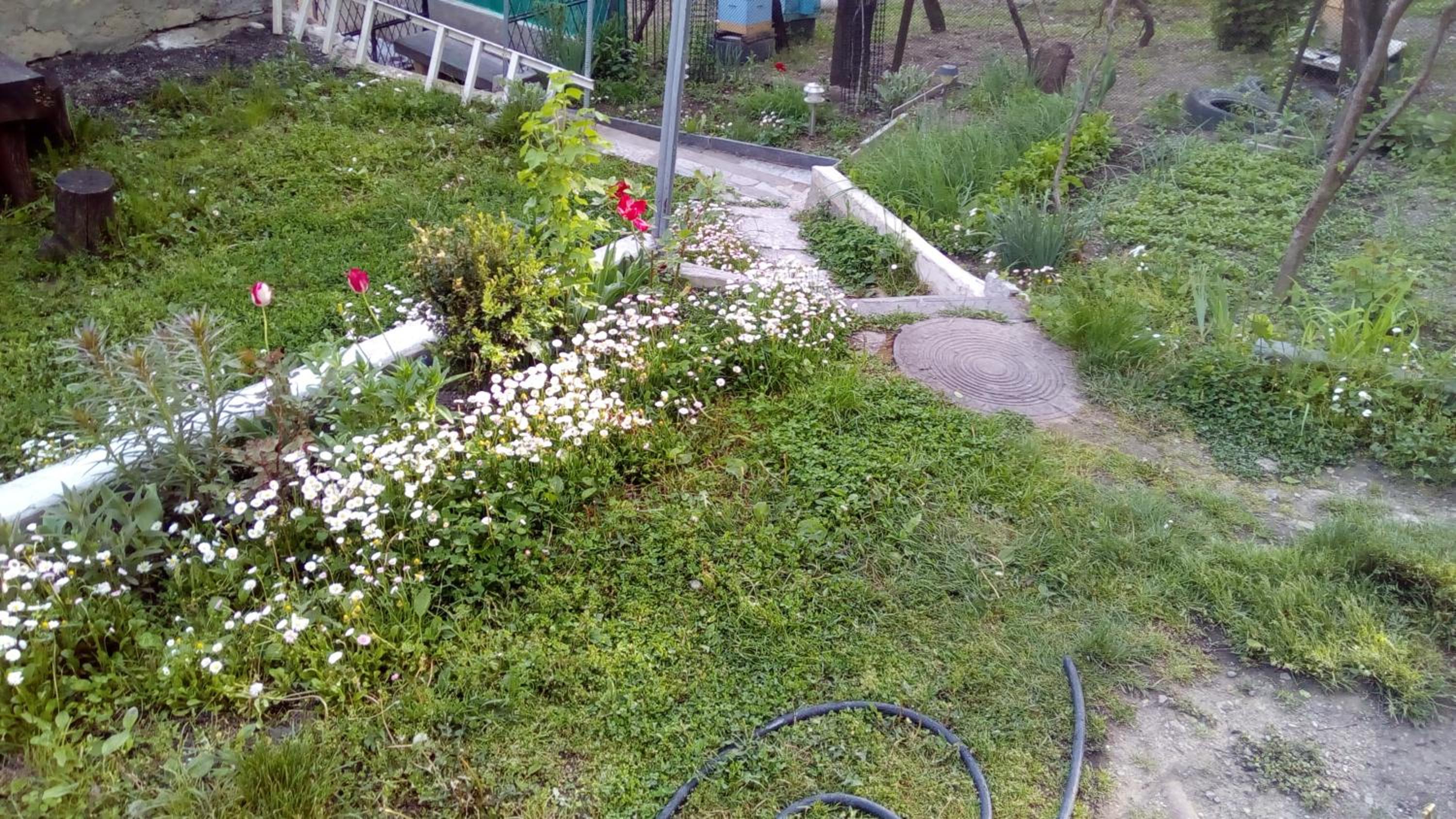 Photo 46