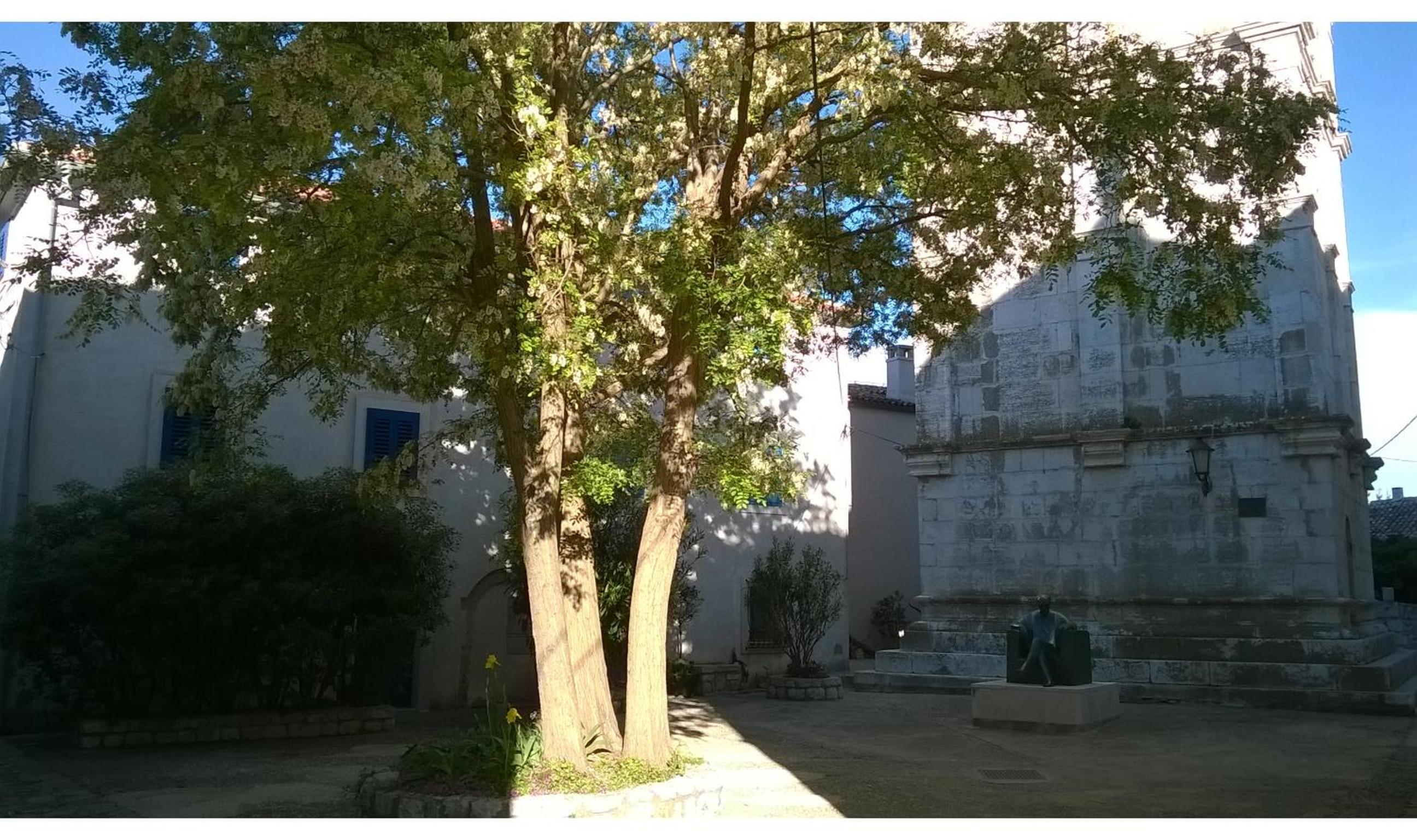 Photo 36