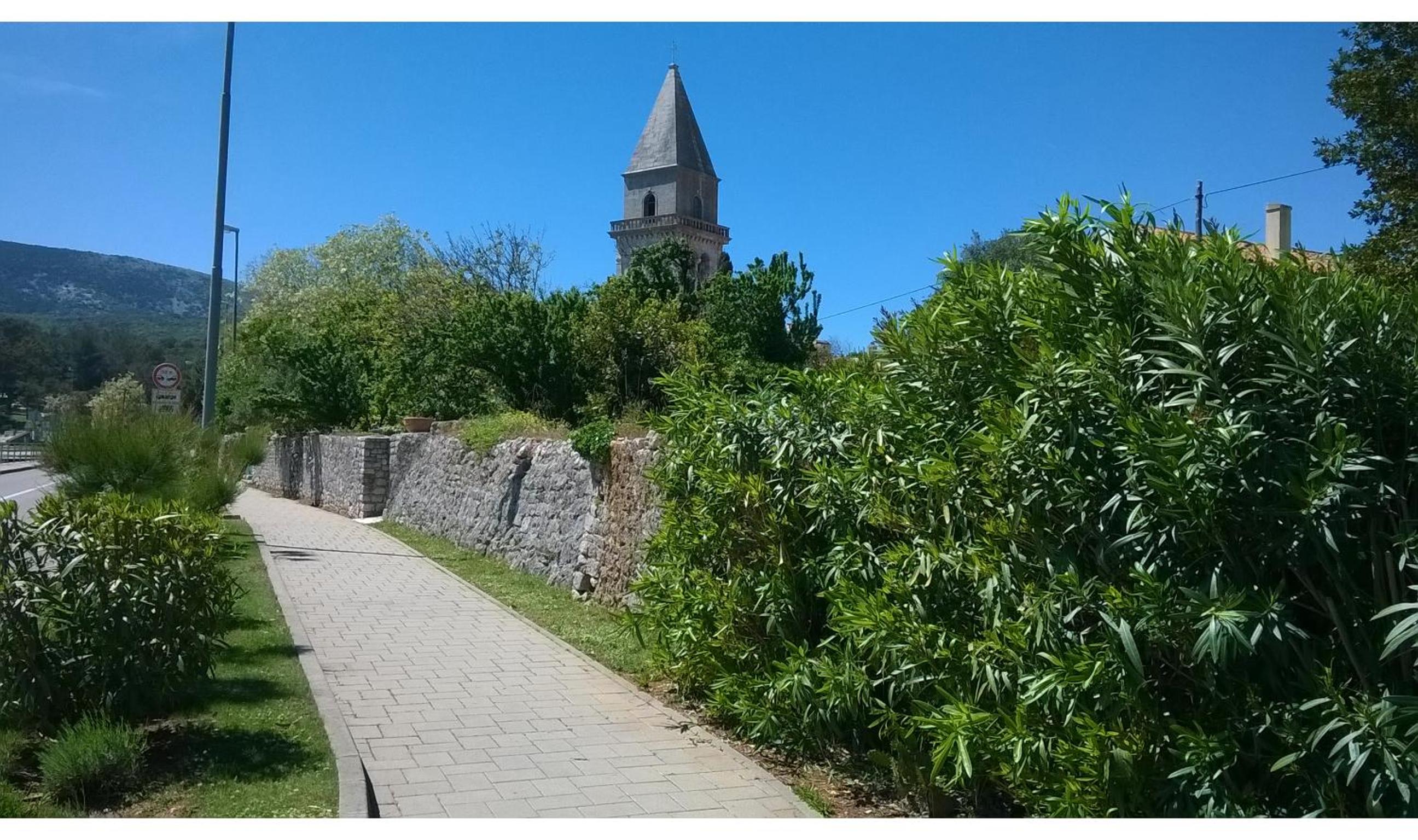 Photo 25