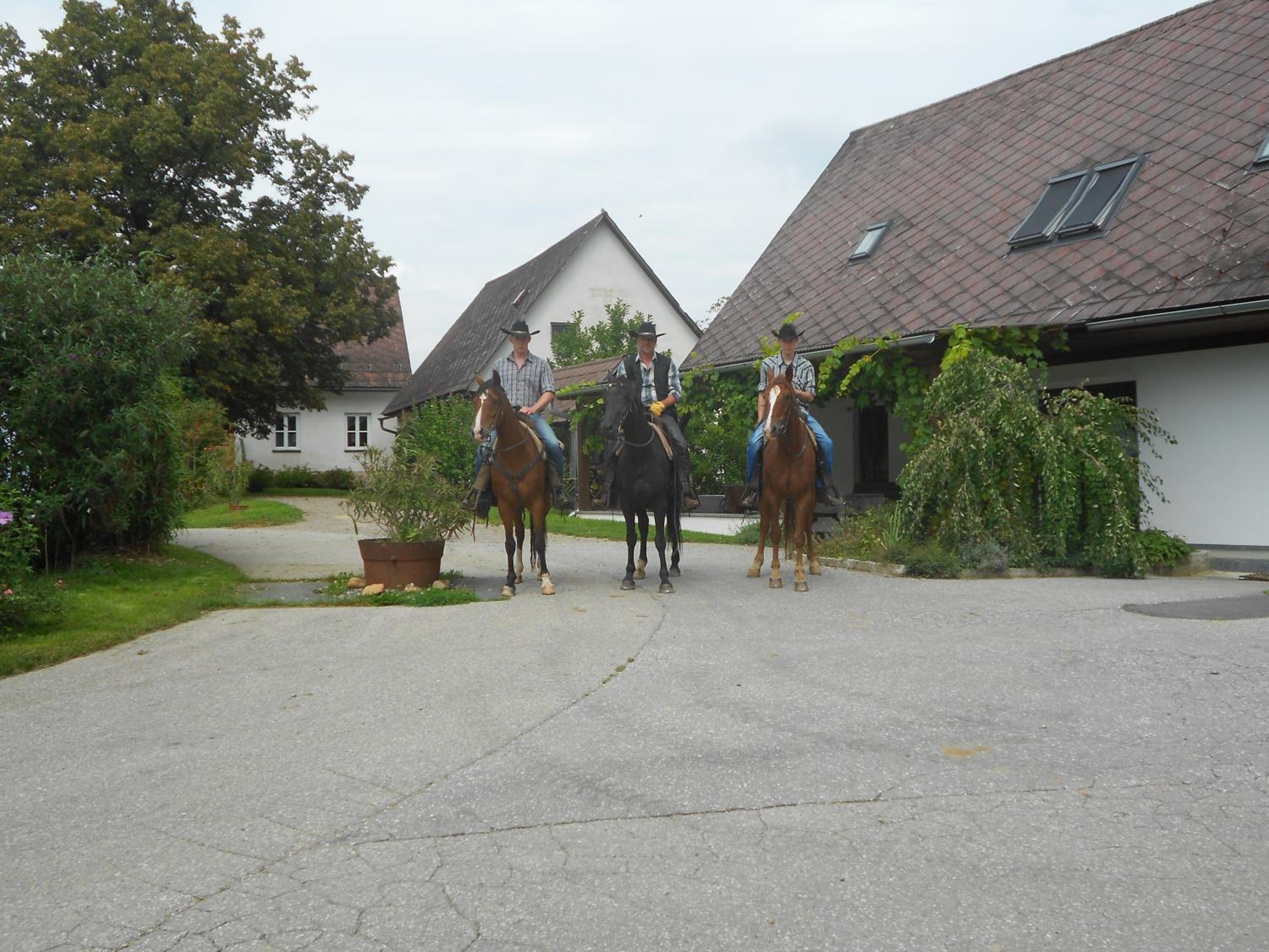Wohlfühlbauernhof Siebernegg