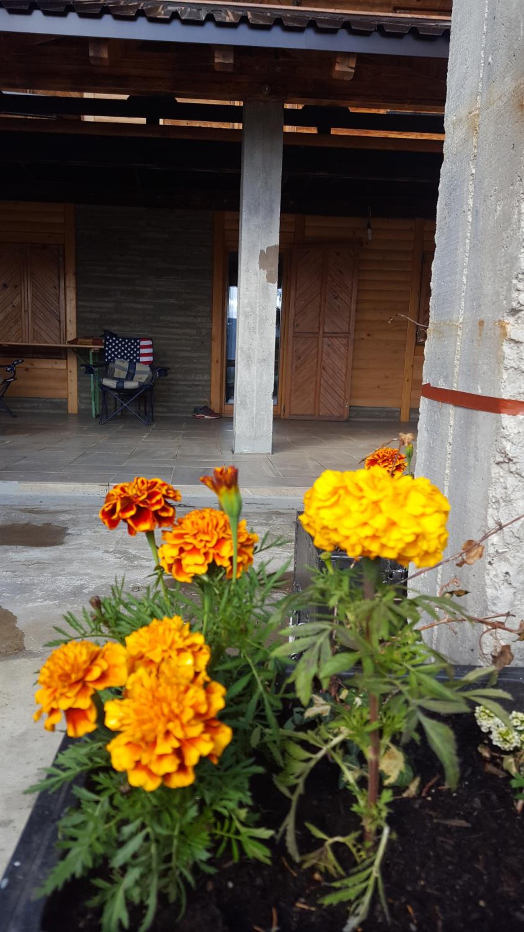 Photo 19